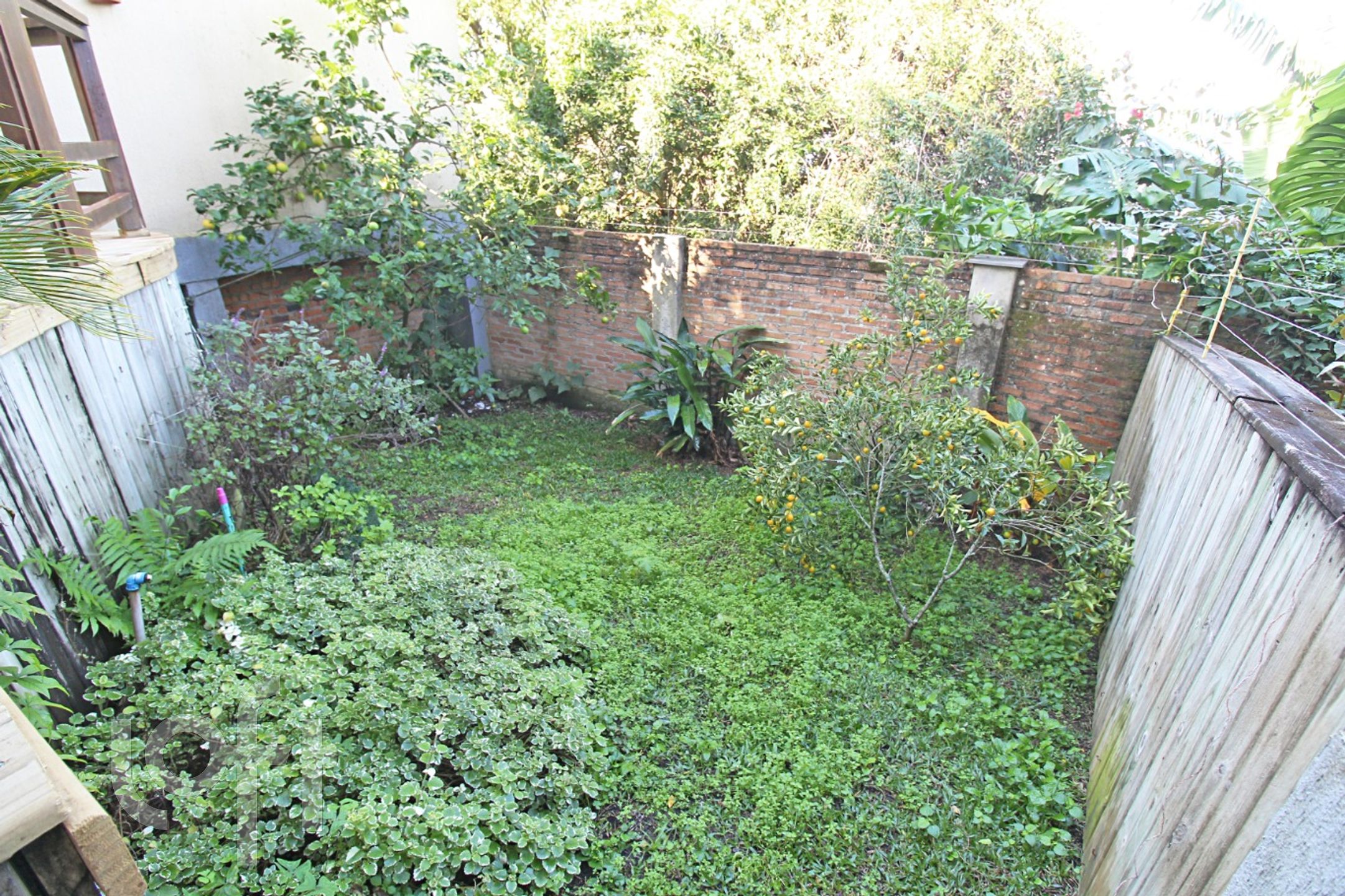 Imagem da propriedade 51