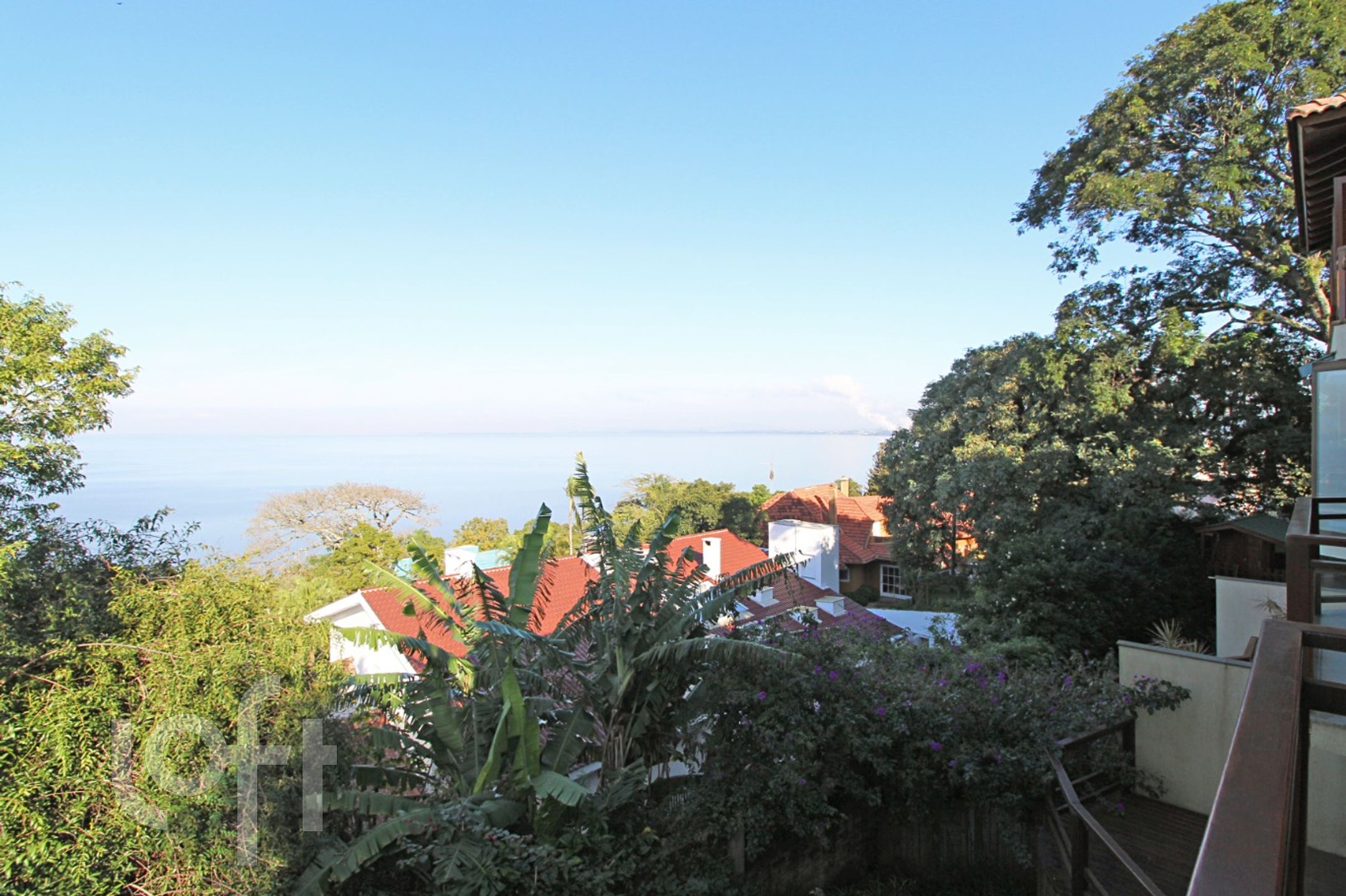 Imagem da propriedade 18