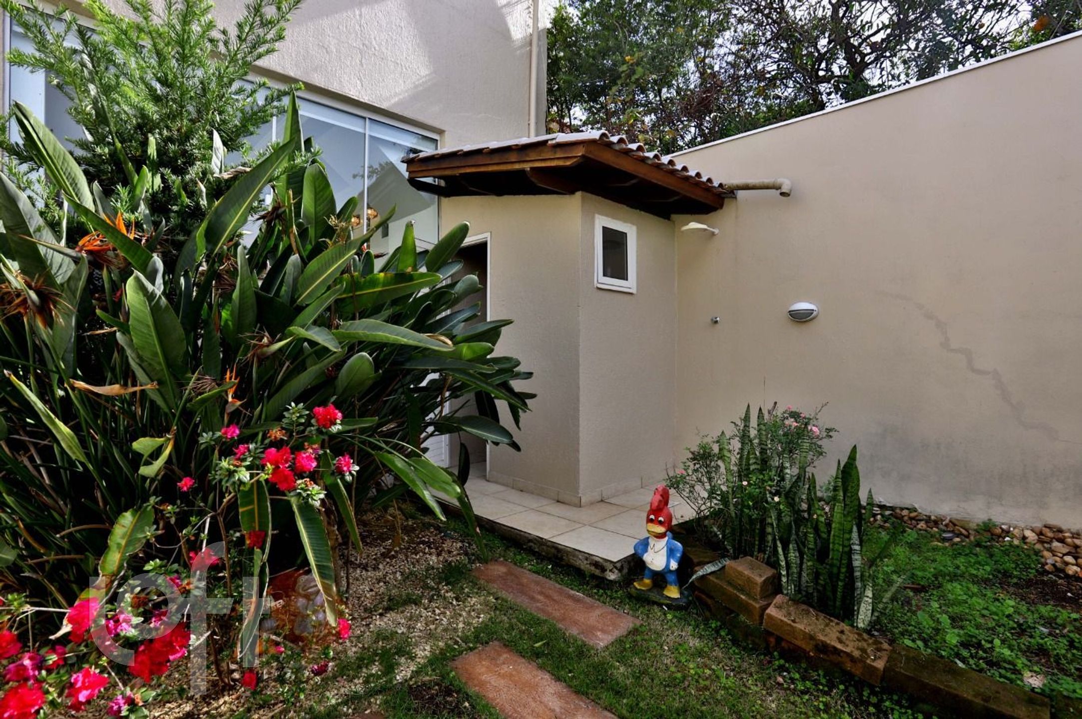 Imagem da propriedade 17