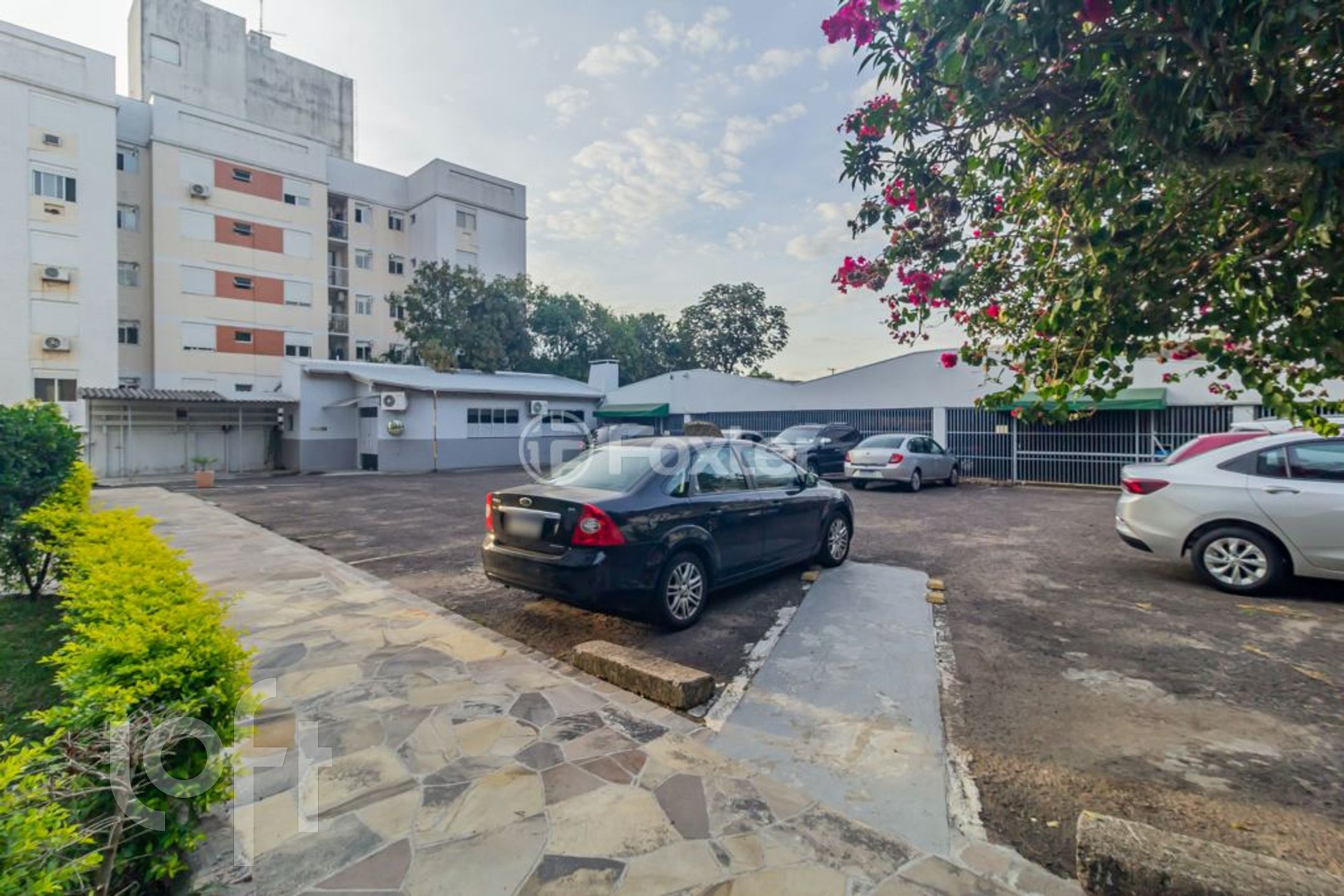 Imagem da propriedade 7