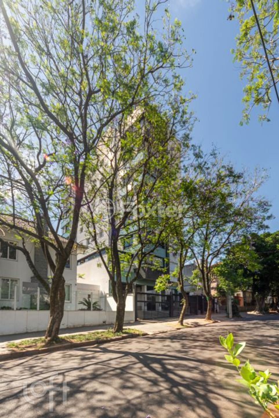 Imagem da propriedade 24