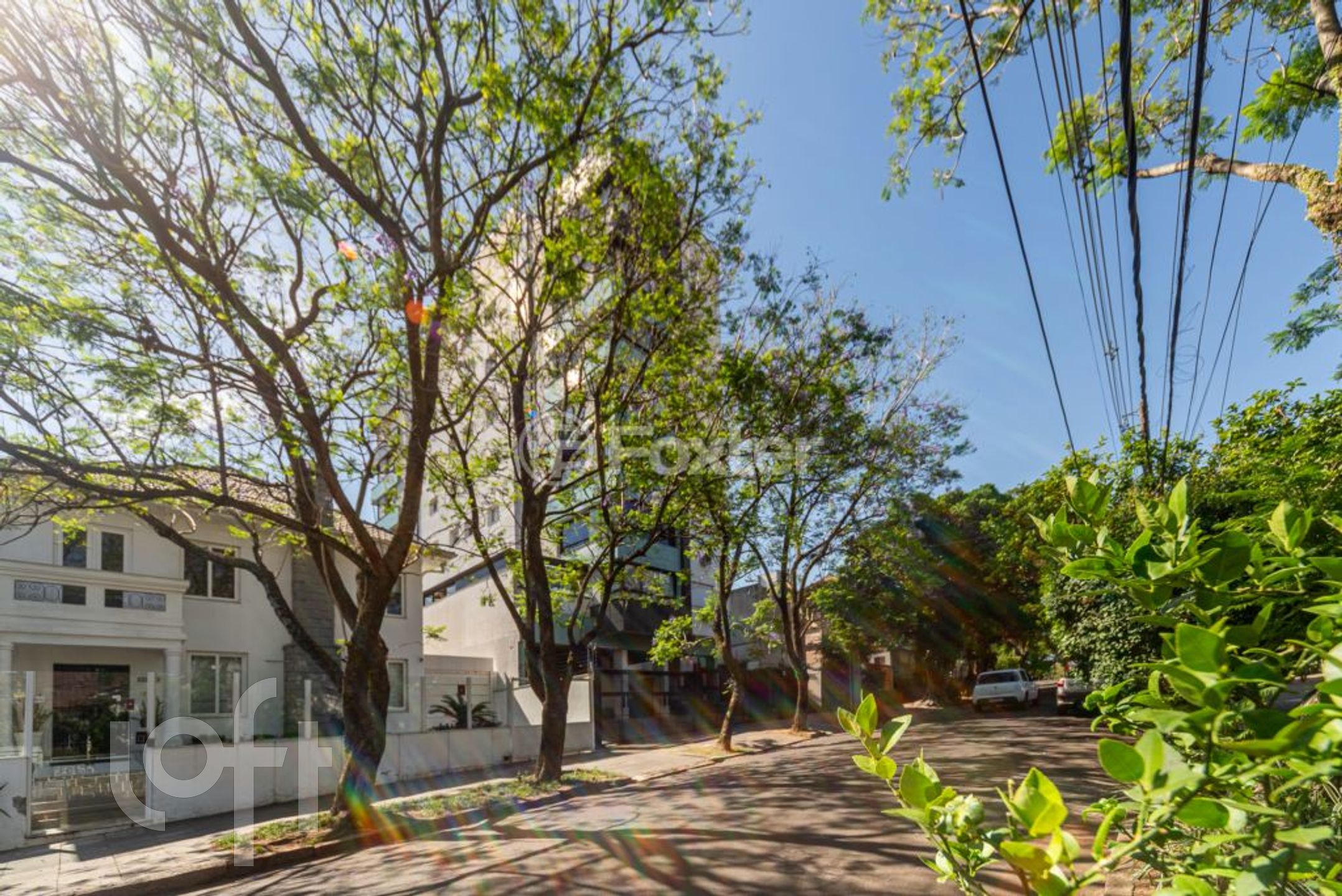 Imagem da propriedade 23