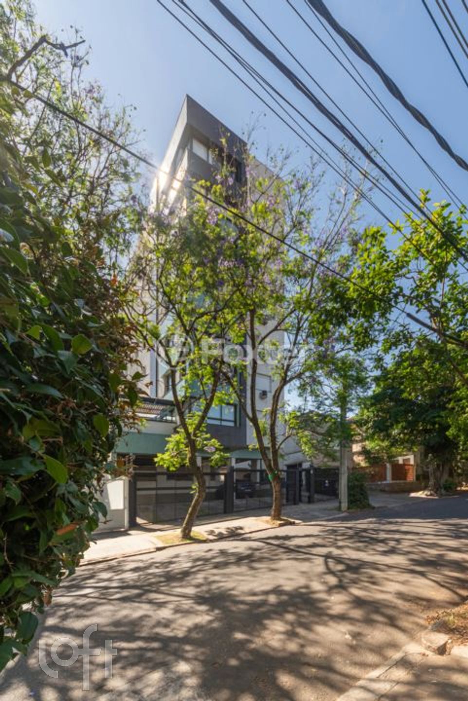 Imagem da propriedade 22