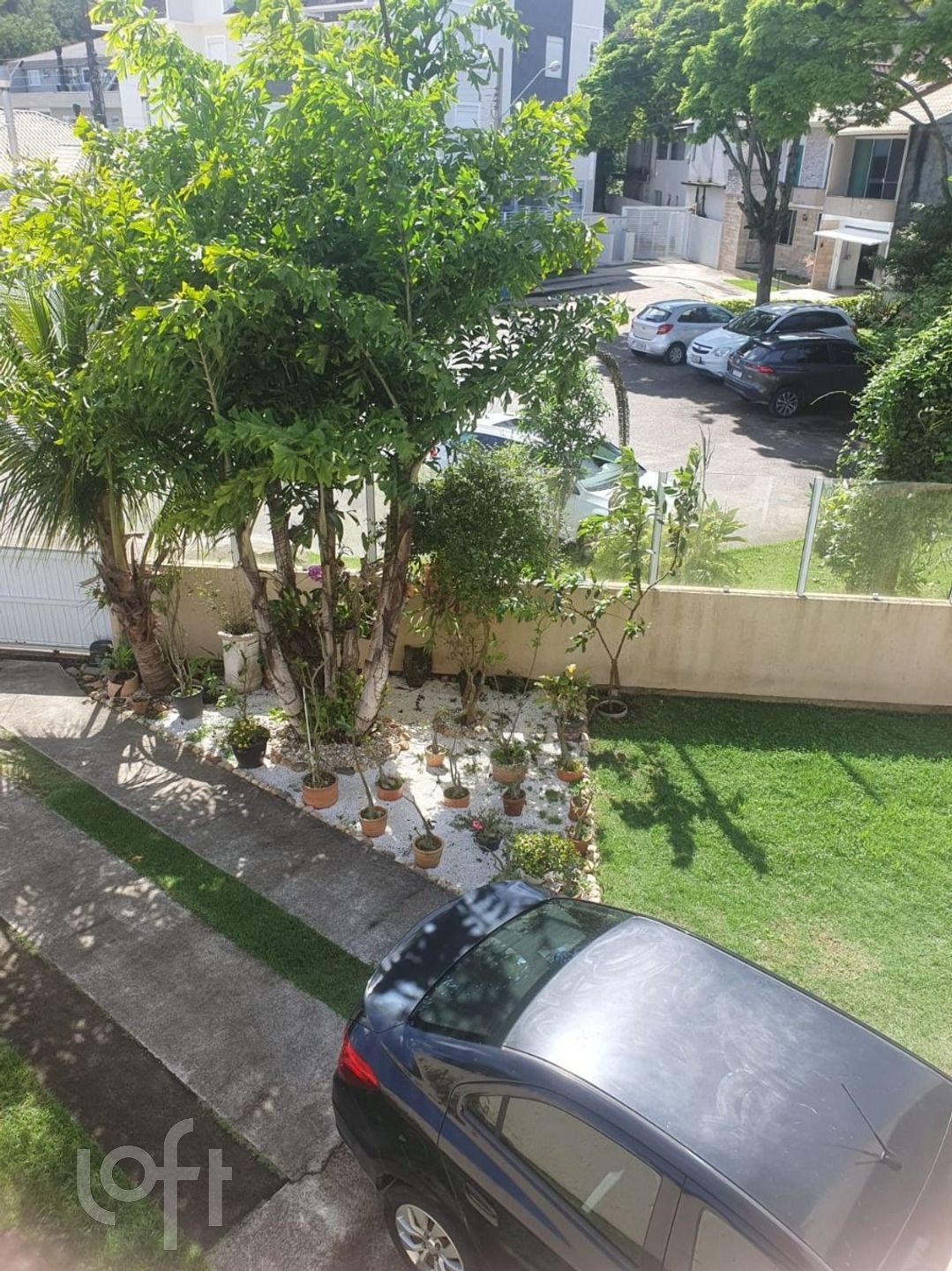 Imagem da propriedade 53