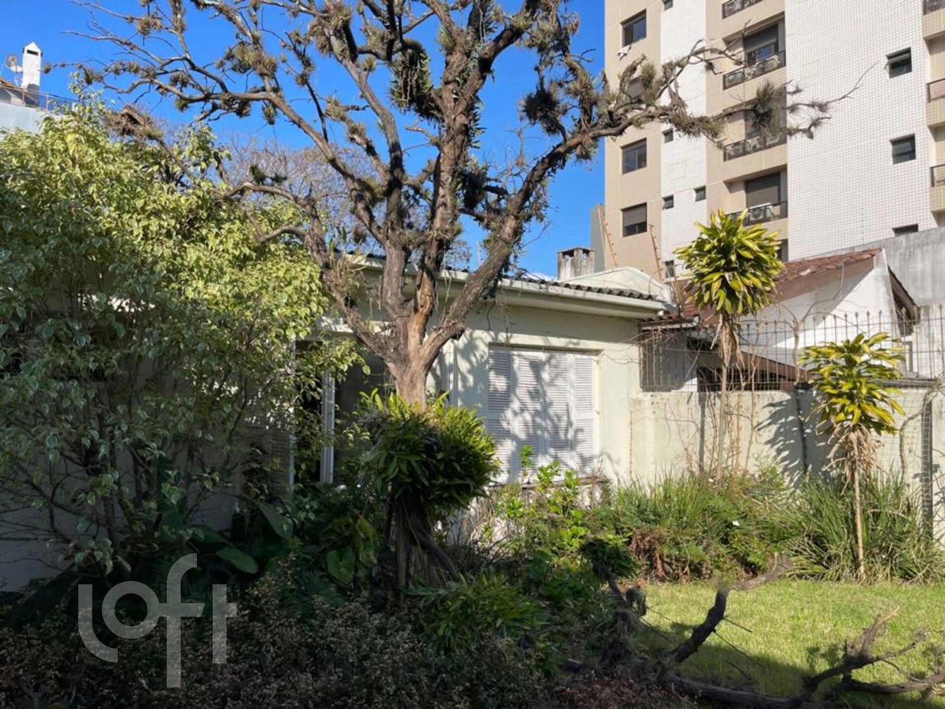 Imagem da propriedade 22