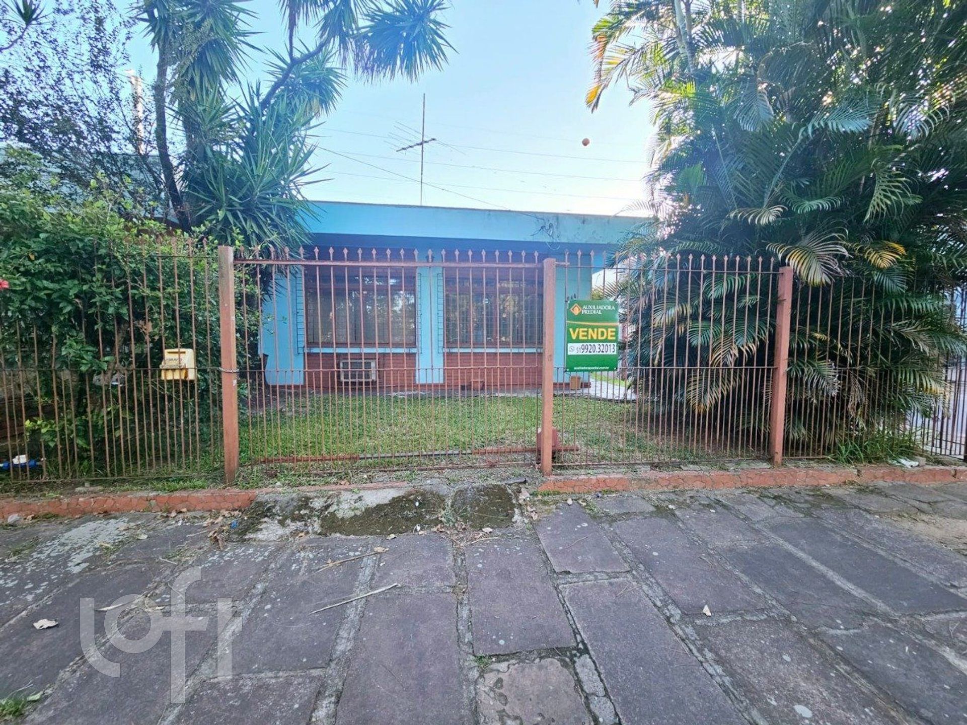 Imagem da propriedade 4