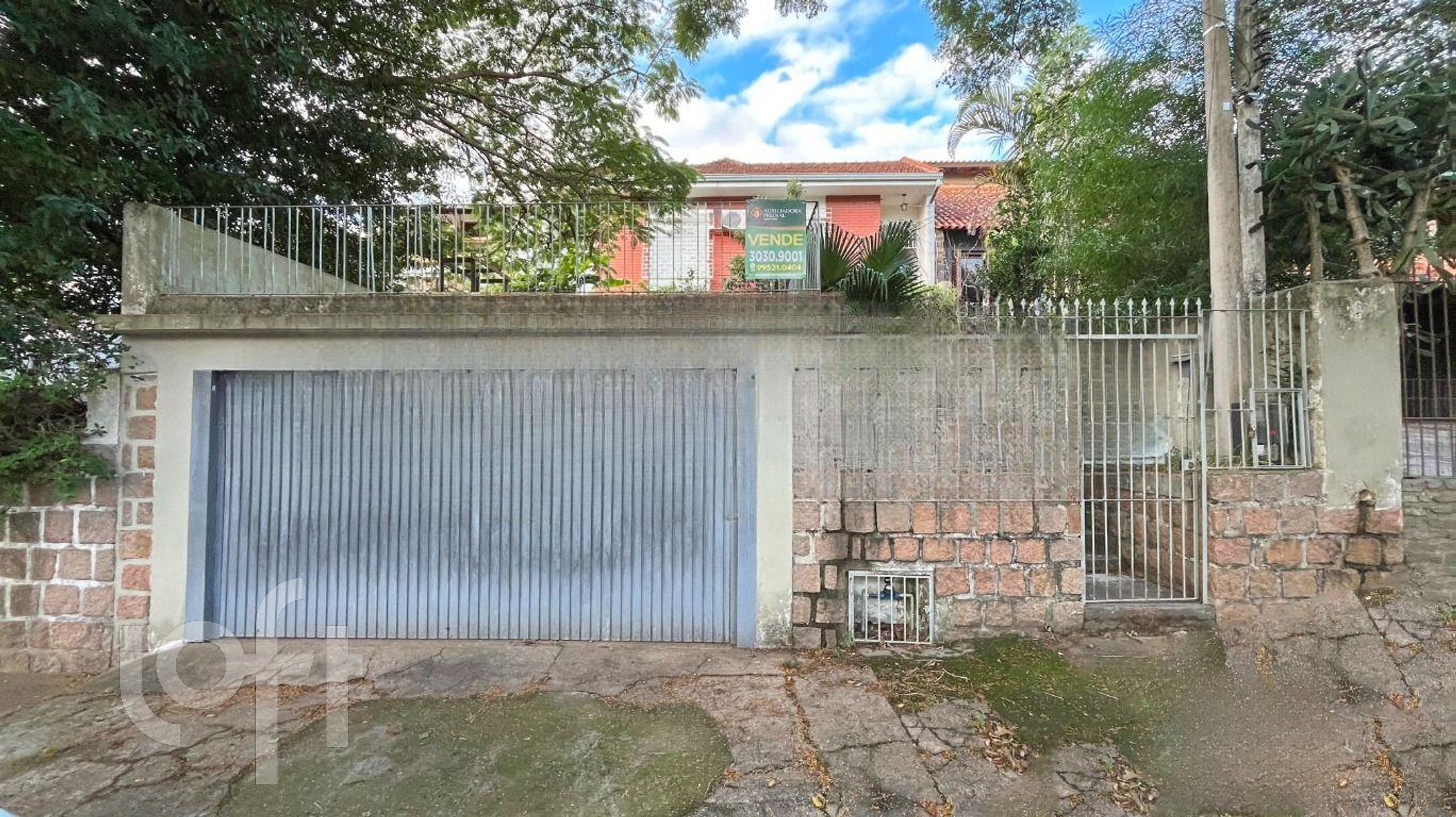 Imagem da propriedade 12