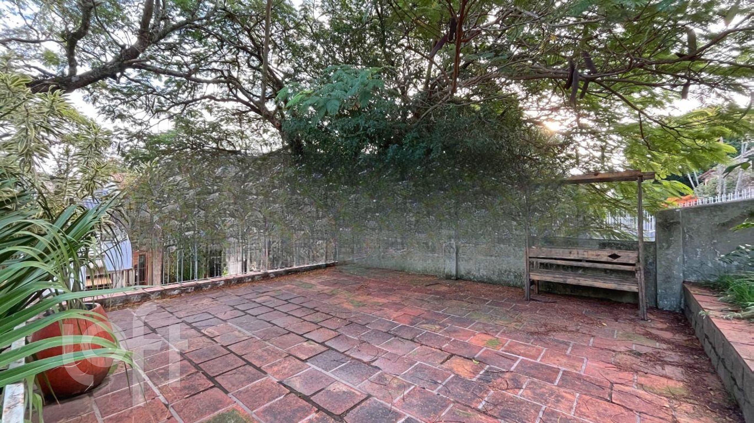 Imagem da propriedade 11