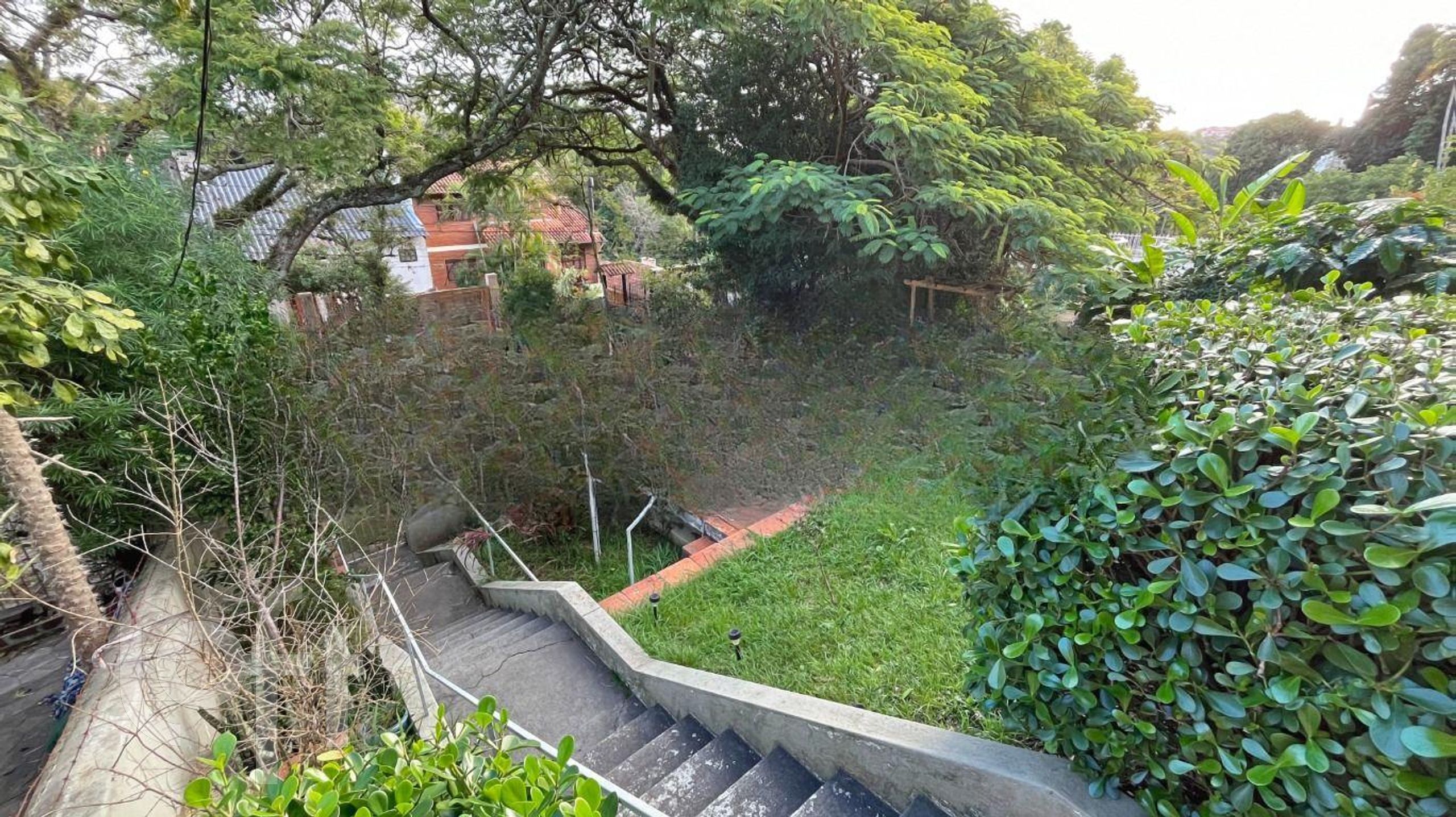 Imagem da propriedade 10