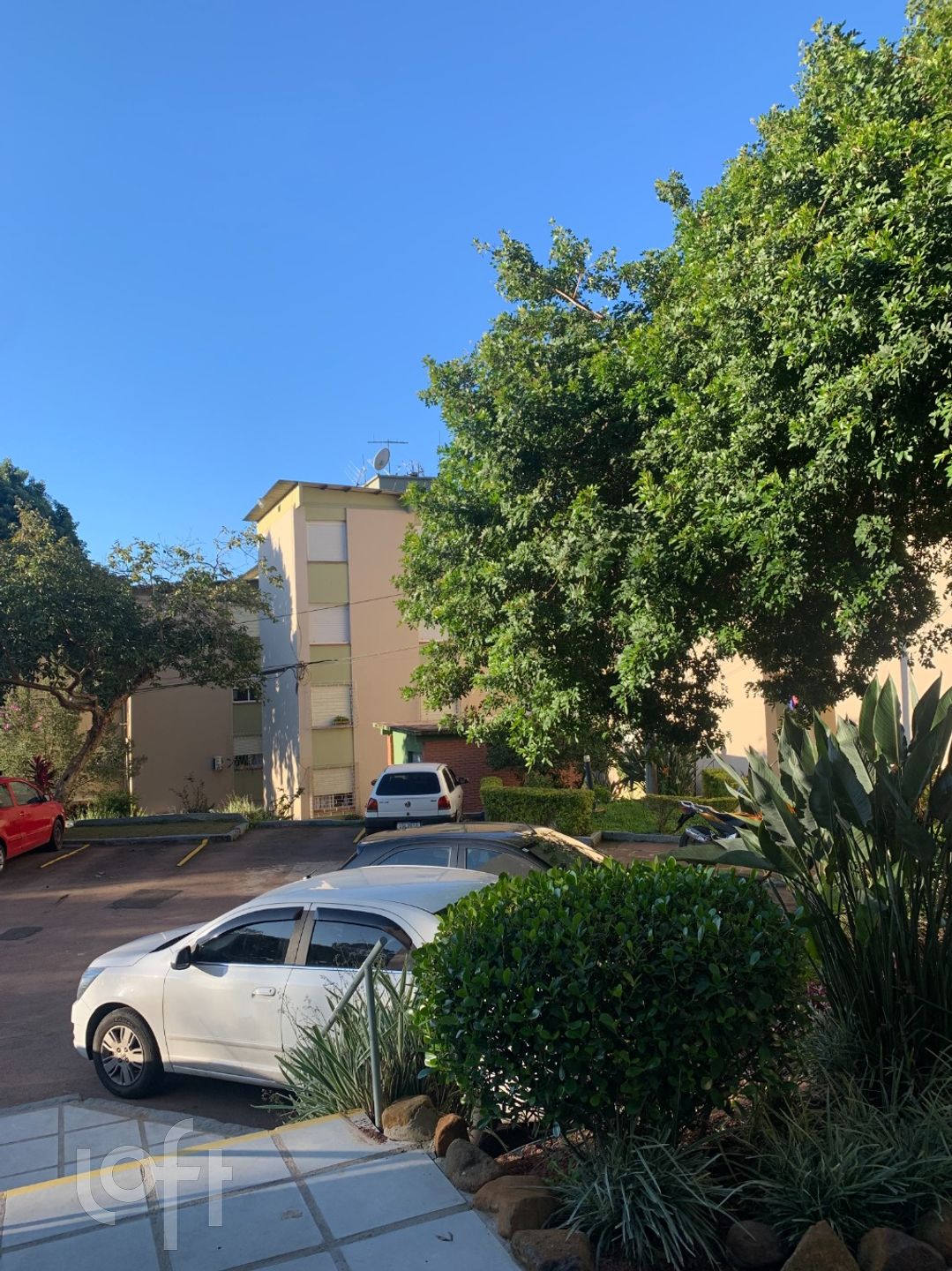 Imagem da propriedade 10