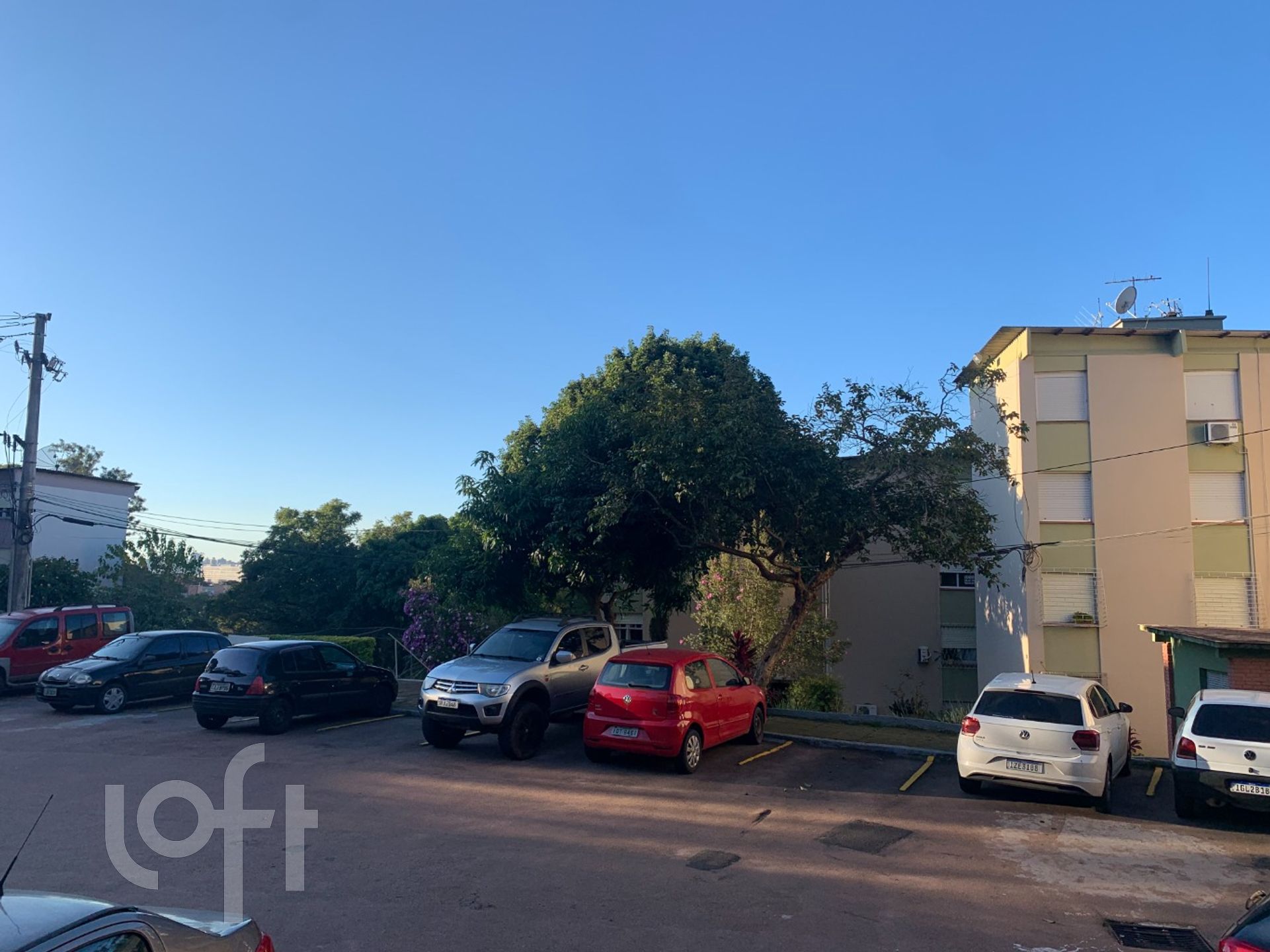 Imagem da propriedade 43