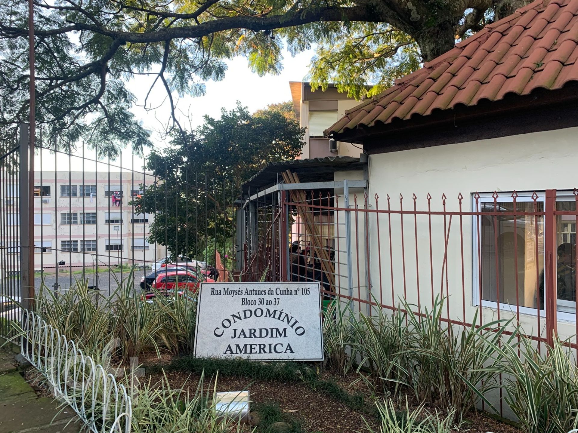 Imagem da propriedade 3