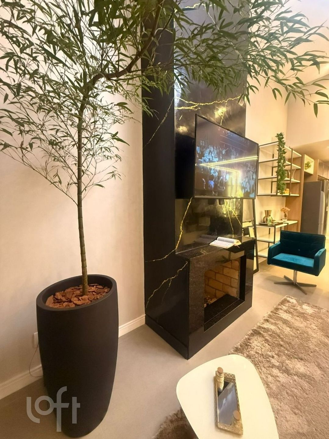 Imagem da propriedade 19