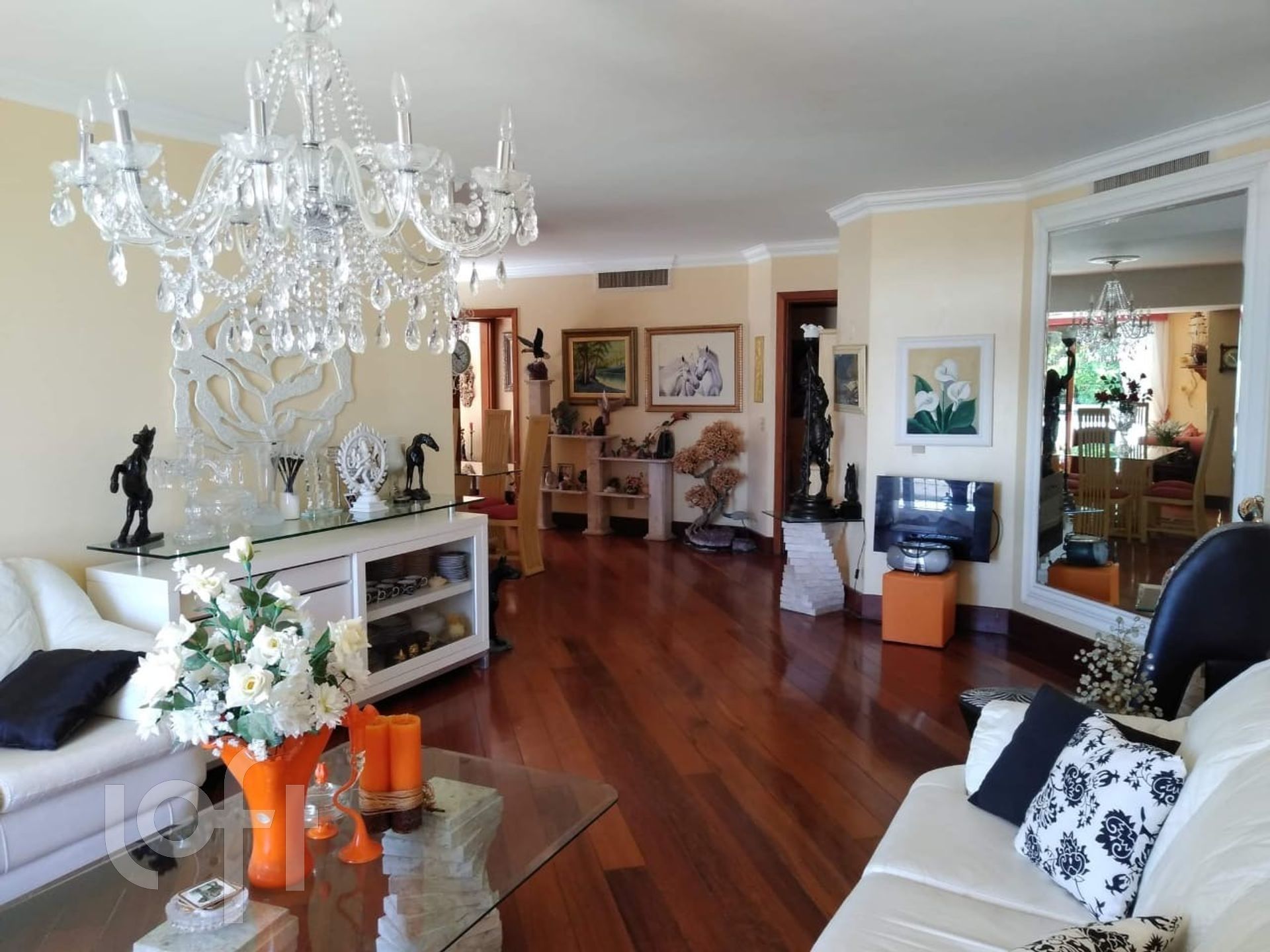 Imagem da propriedade 11