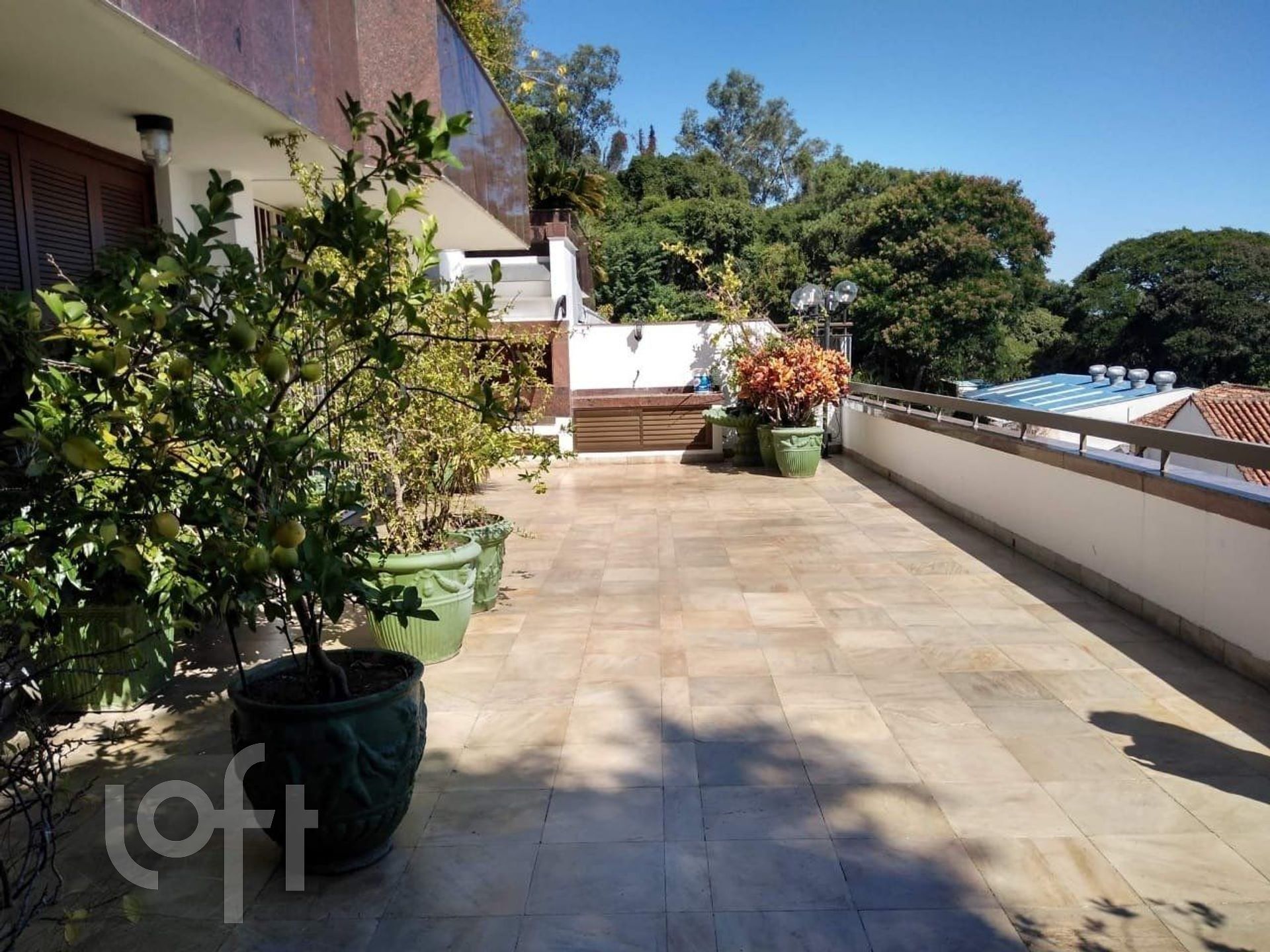 Imagem da propriedade 3