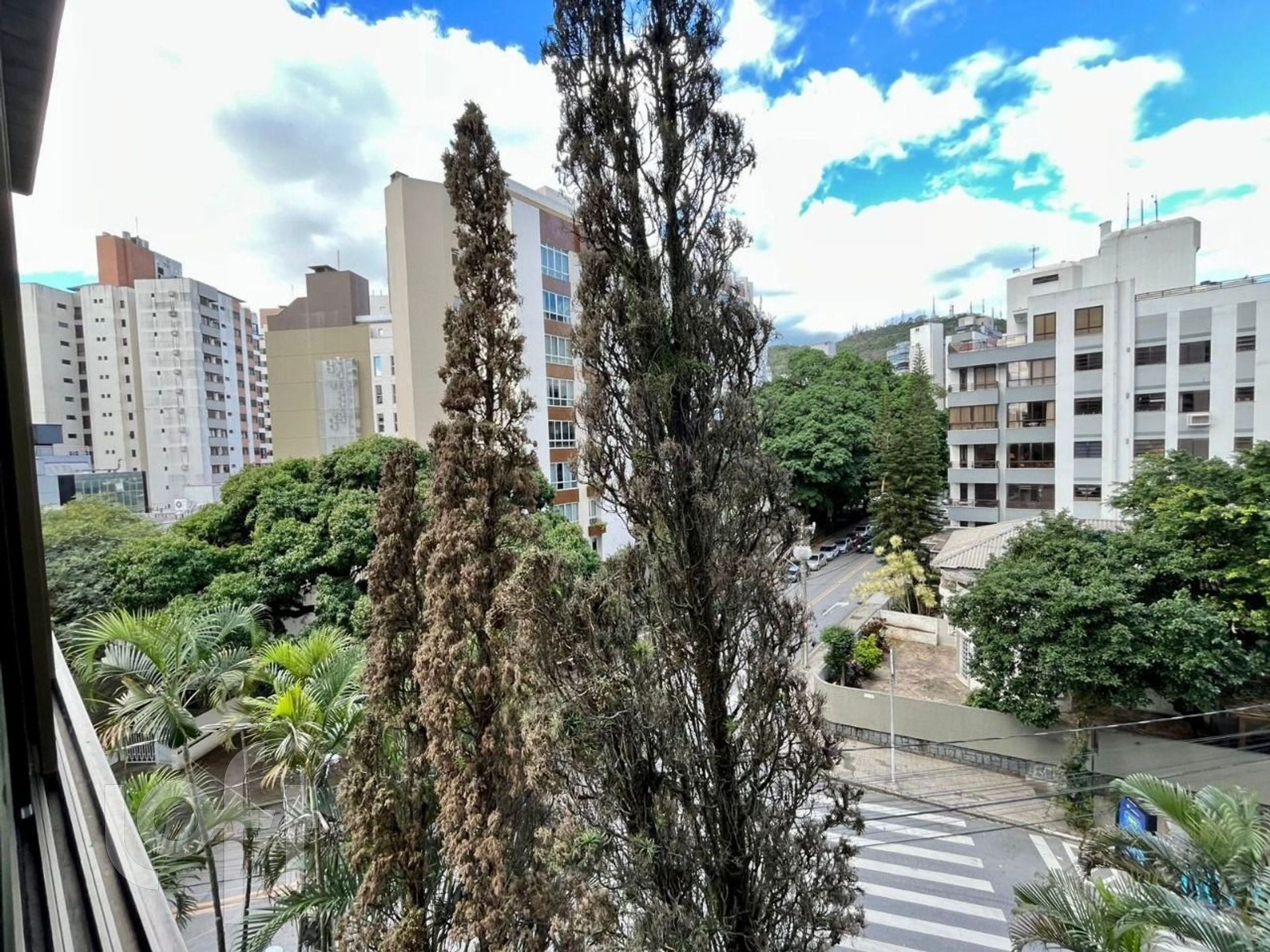 Imagem da propriedade 7