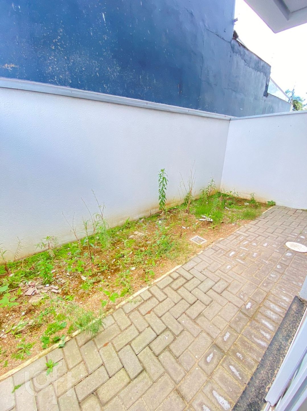 Imagem da propriedade 9