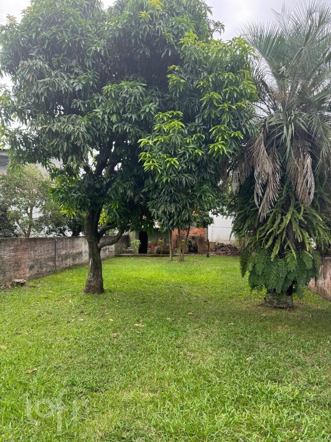 Imagem da propriedade 10