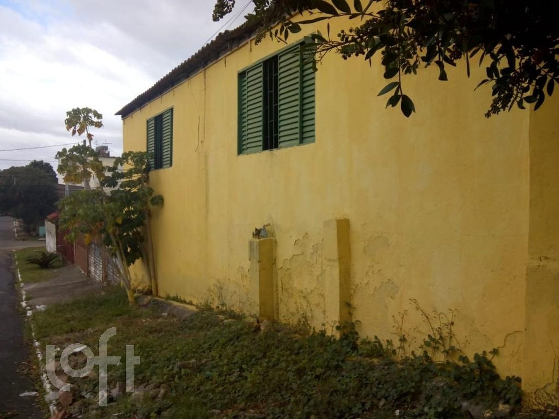 Imagem da propriedade 11