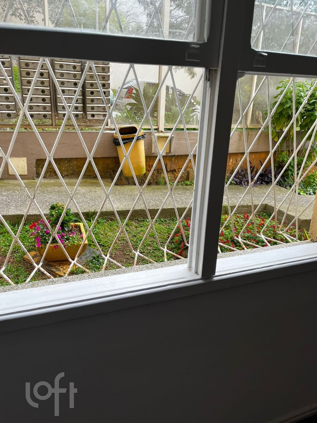 Imagem da propriedade 6