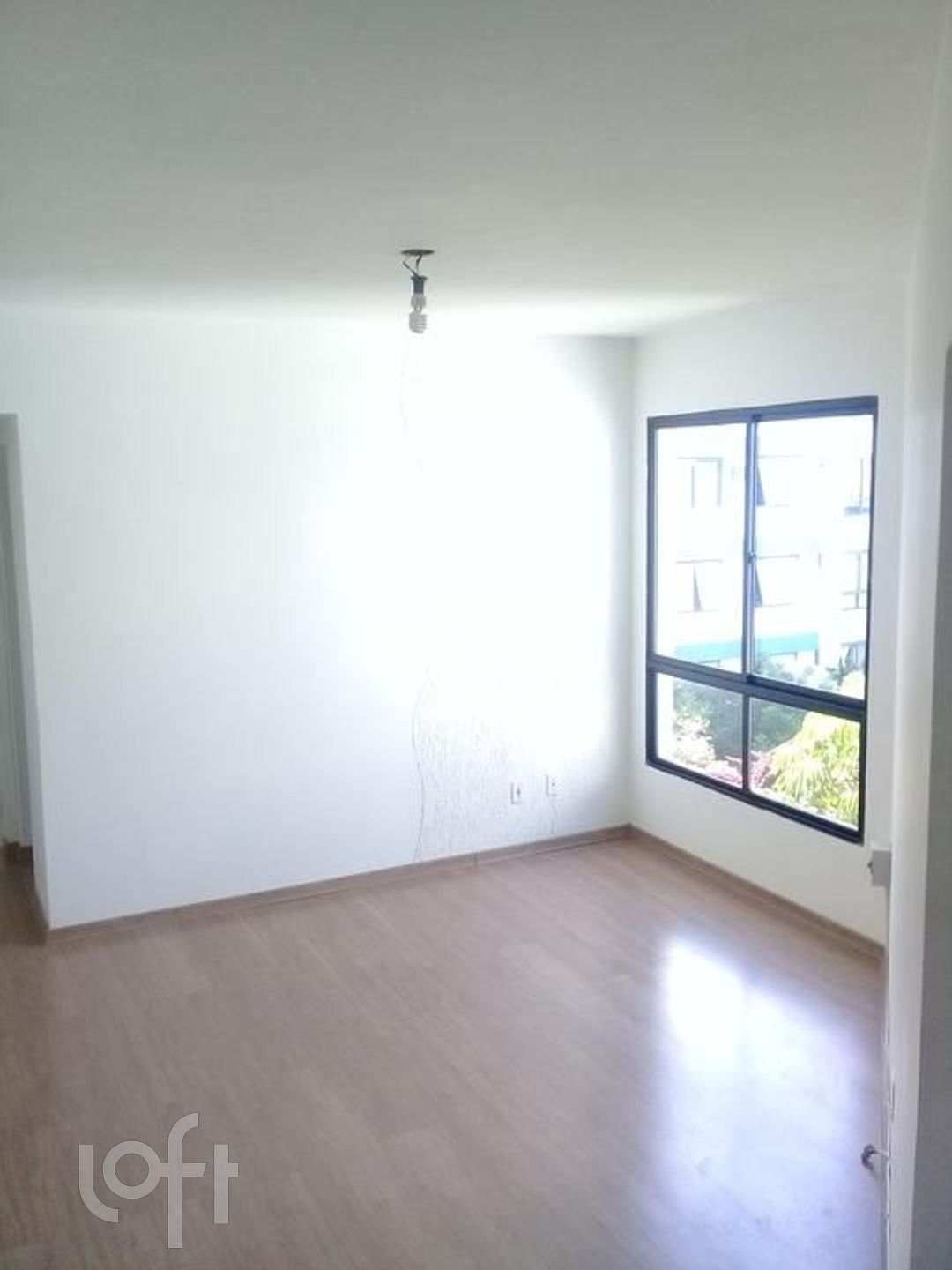 Imagem da propriedade 6