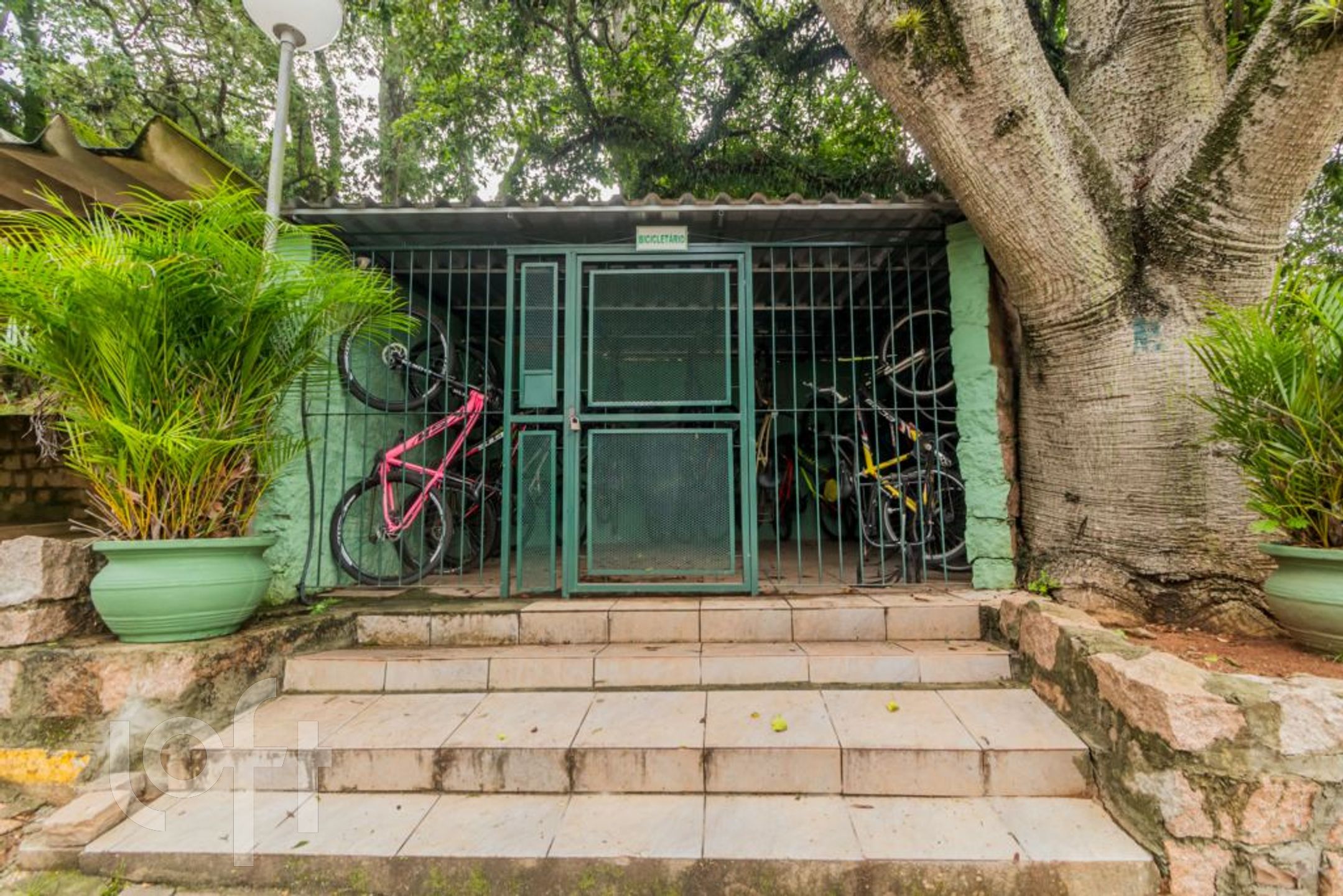 Imagem da propriedade 17