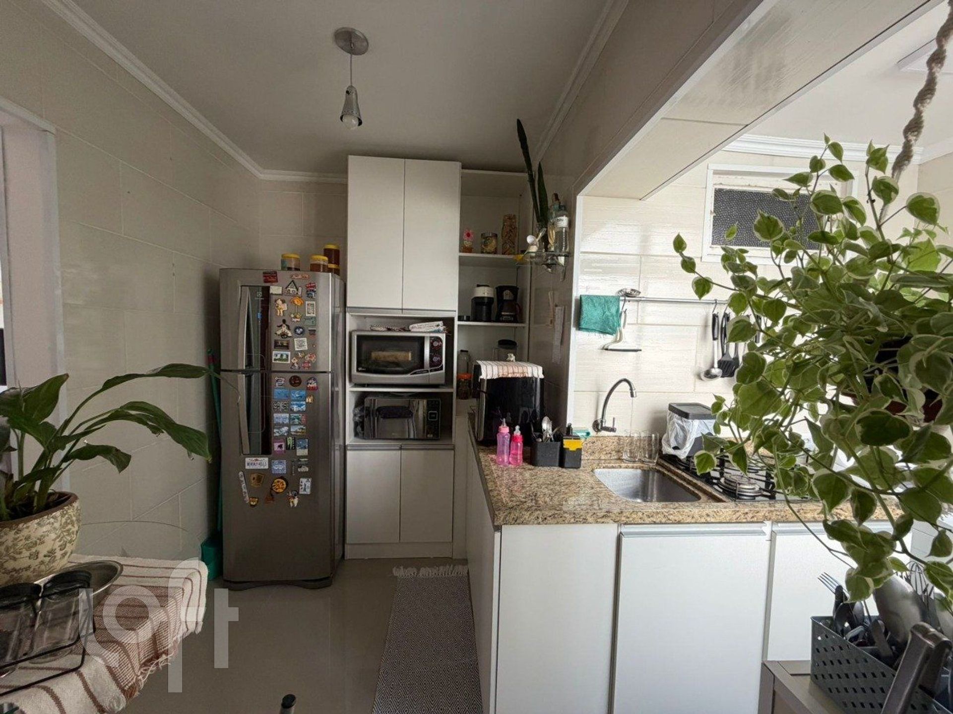 Imagem da propriedade 11