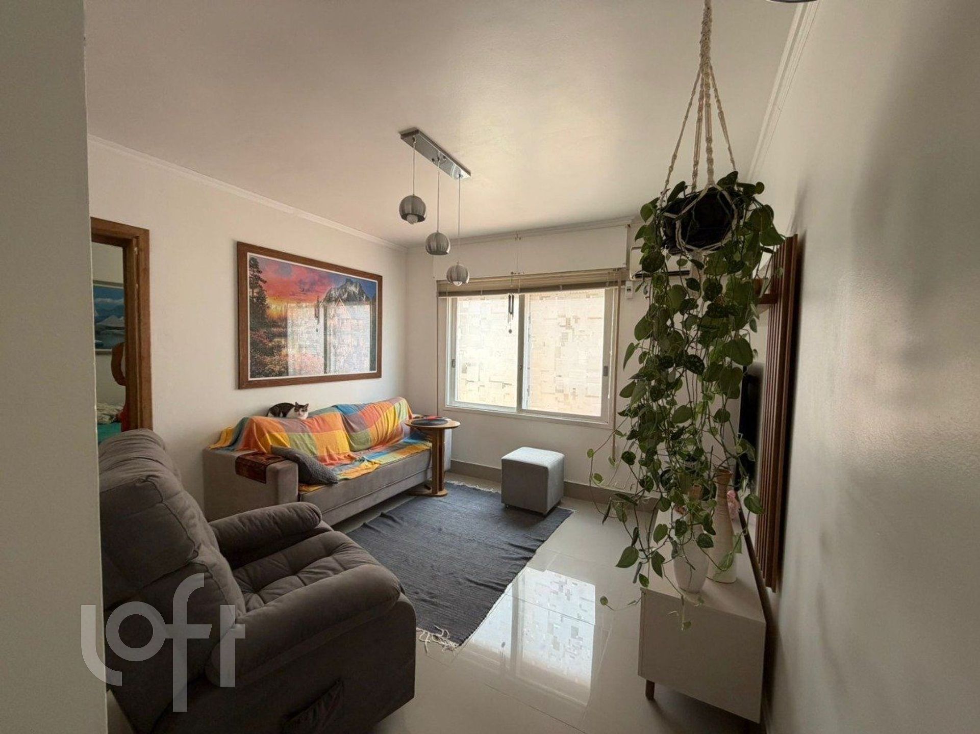 Imagem da propriedade 5