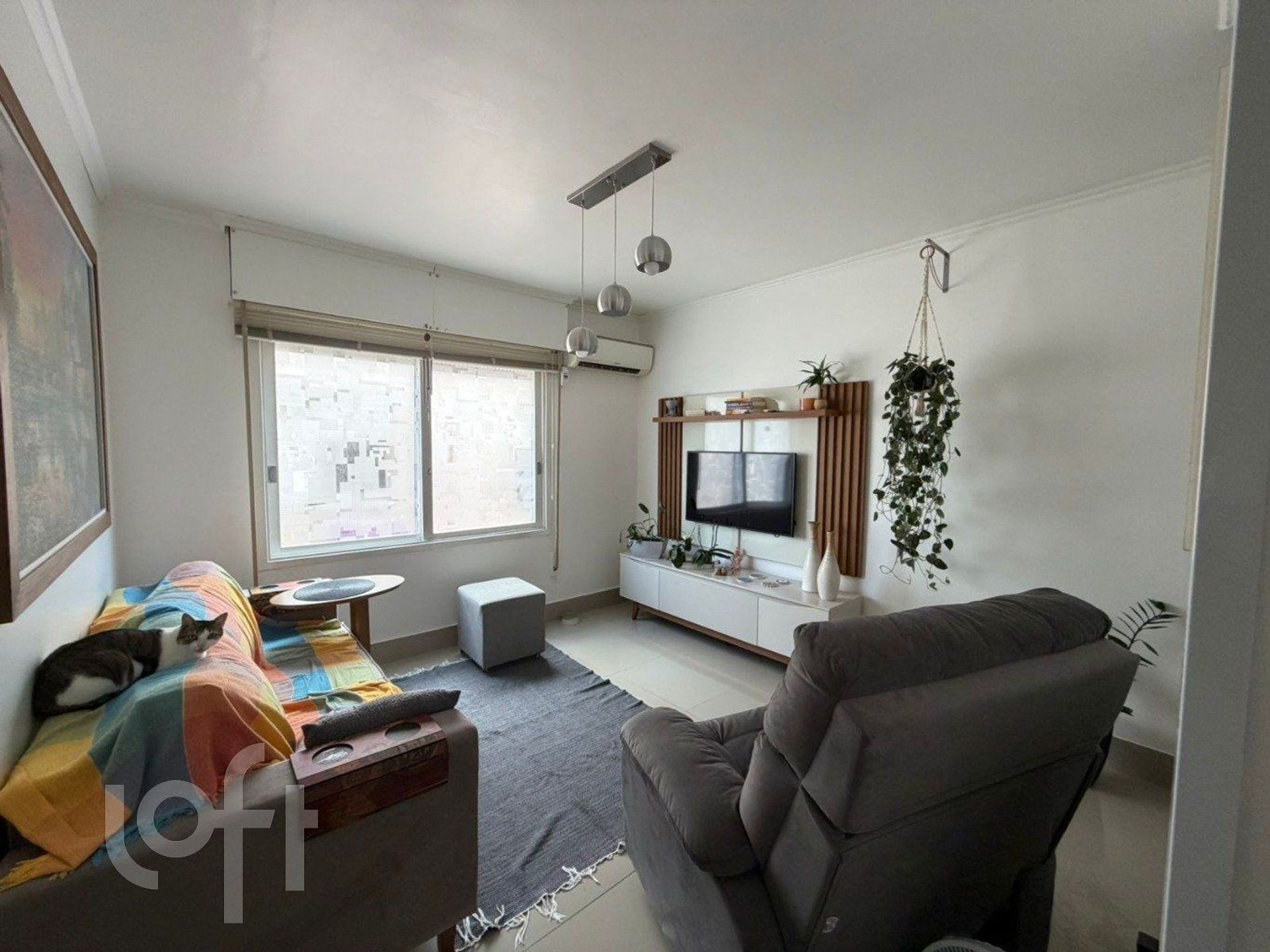 Imagem da propriedade 7