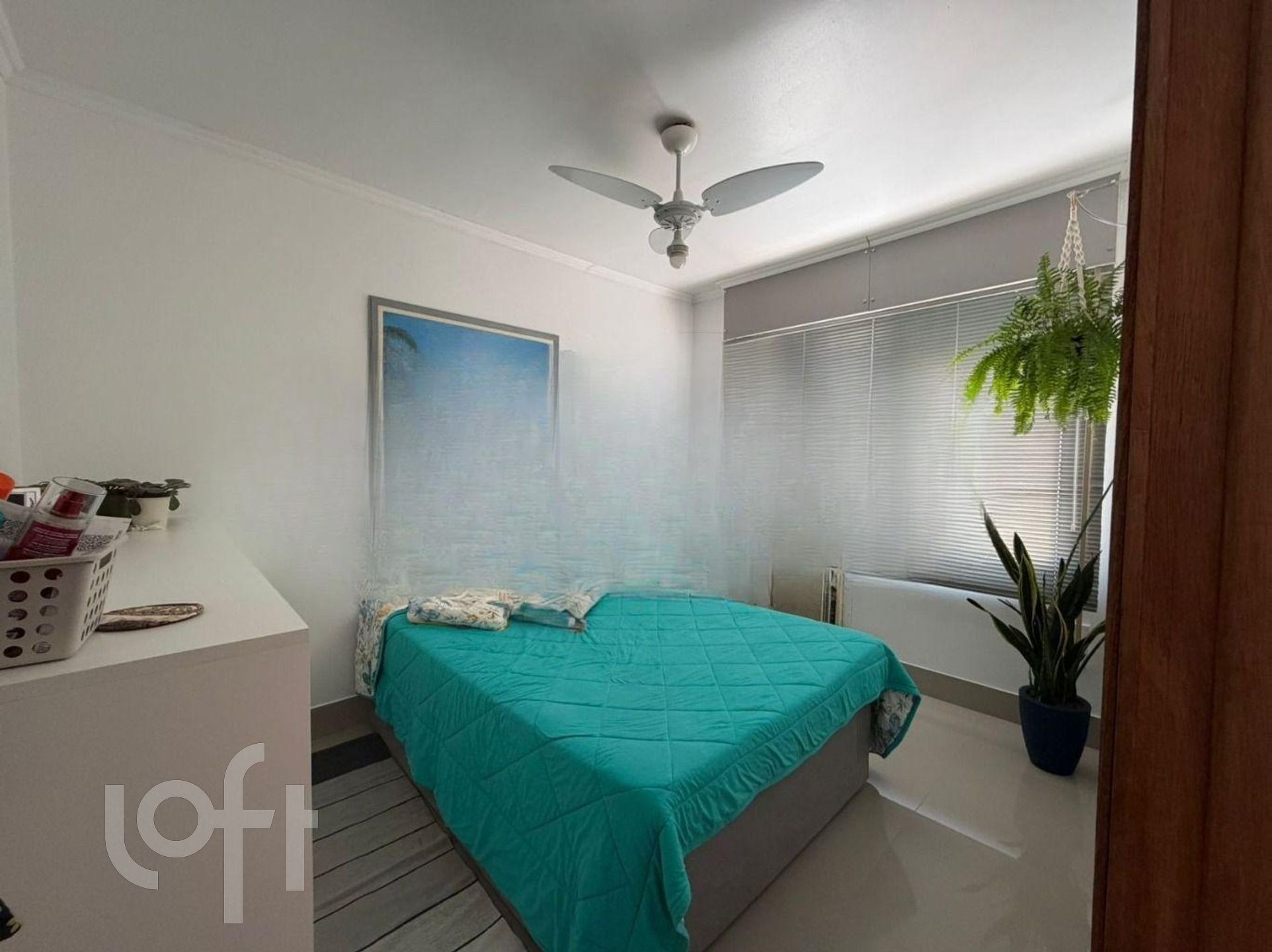 Imagem da propriedade 15