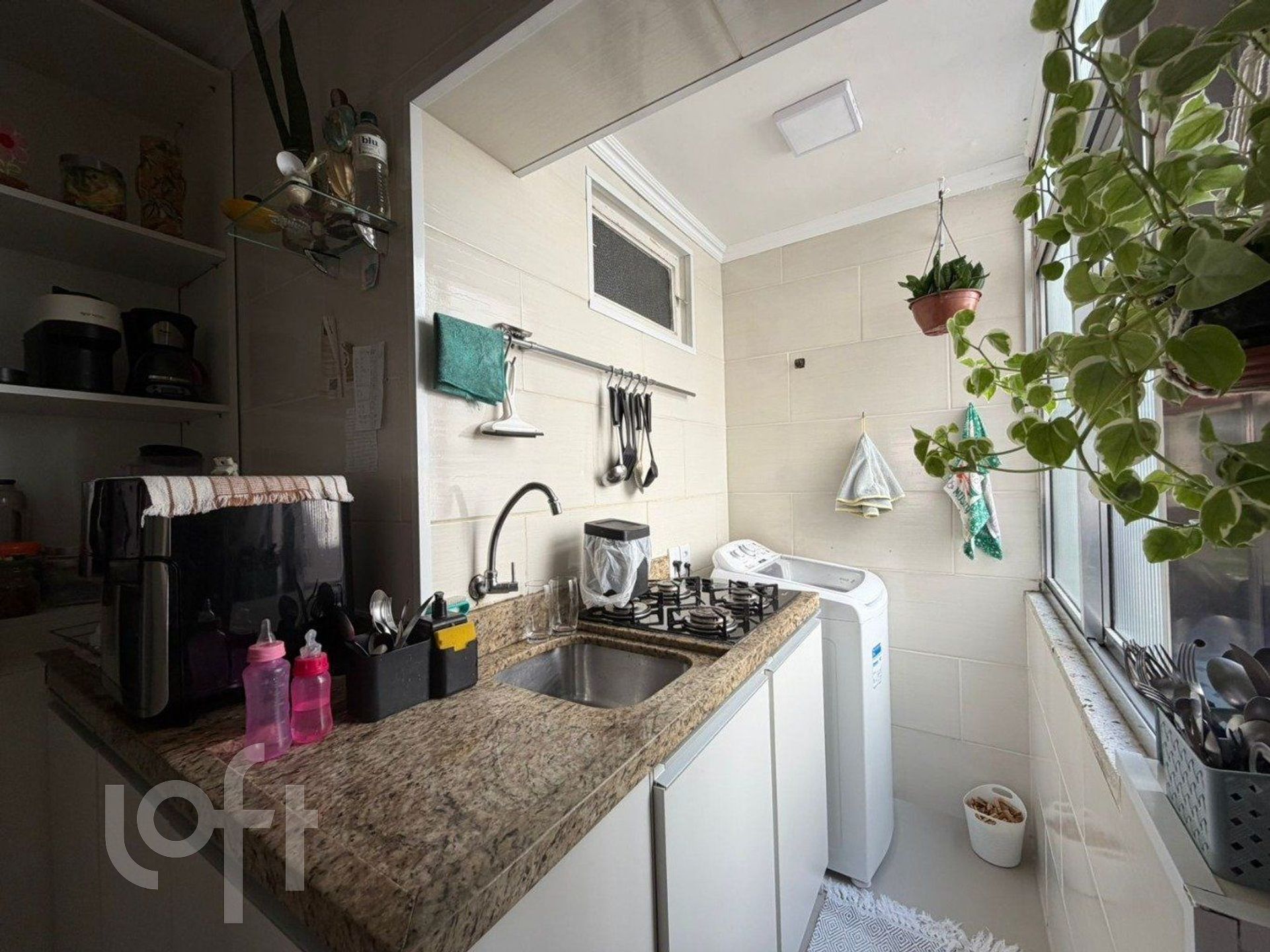 Imagem da propriedade 12