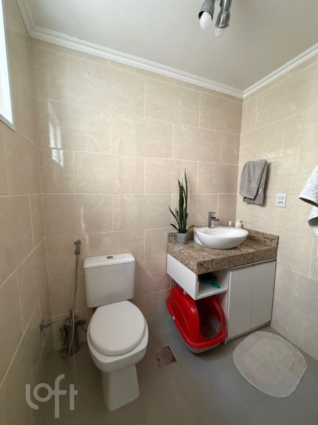 Imagem da propriedade 18