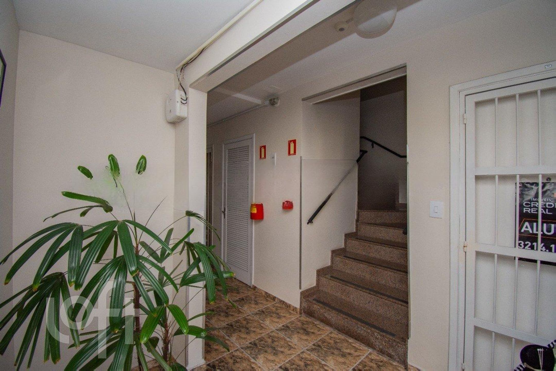 Imagem da propriedade 3