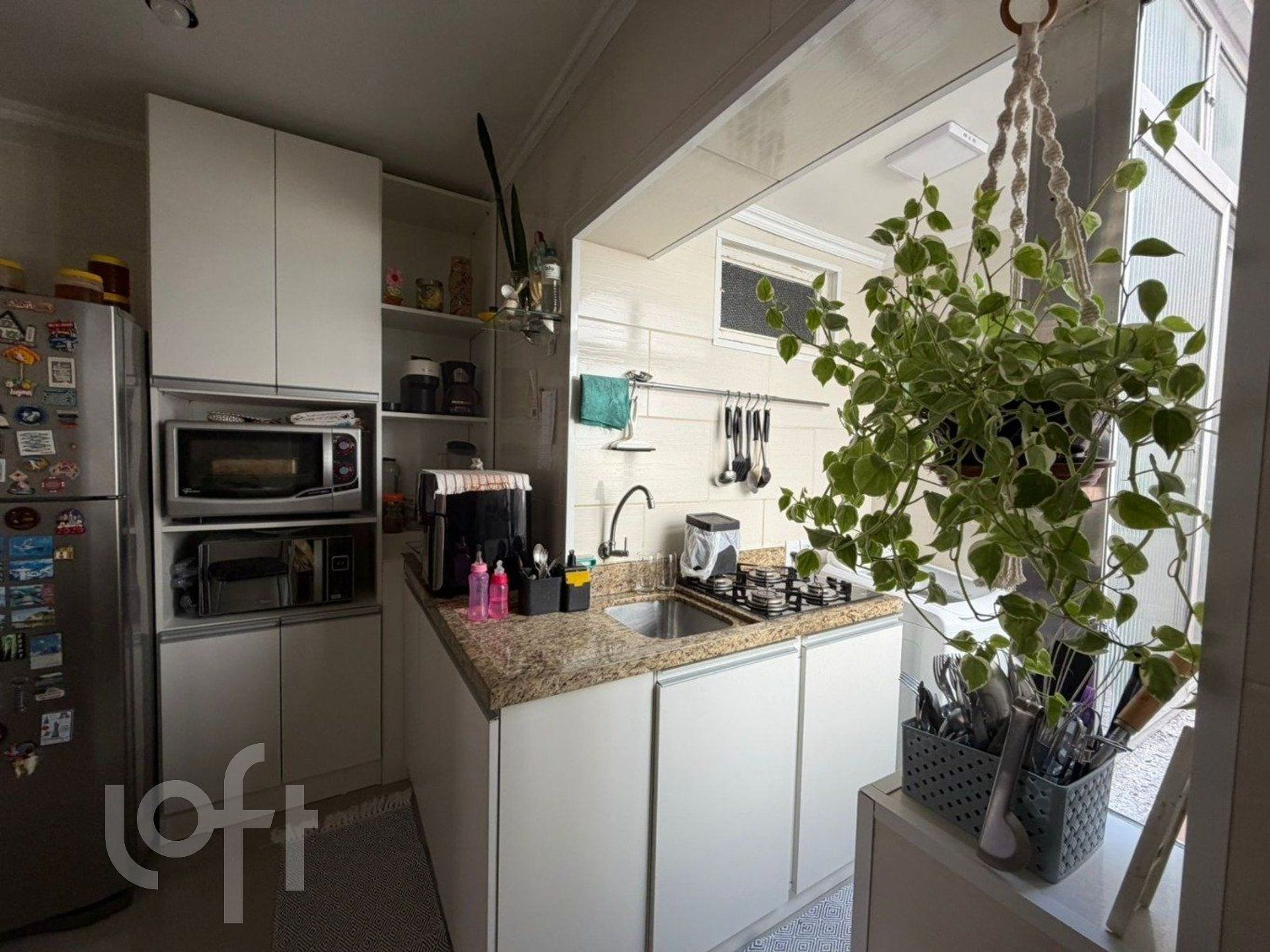 Imagem da propriedade 13