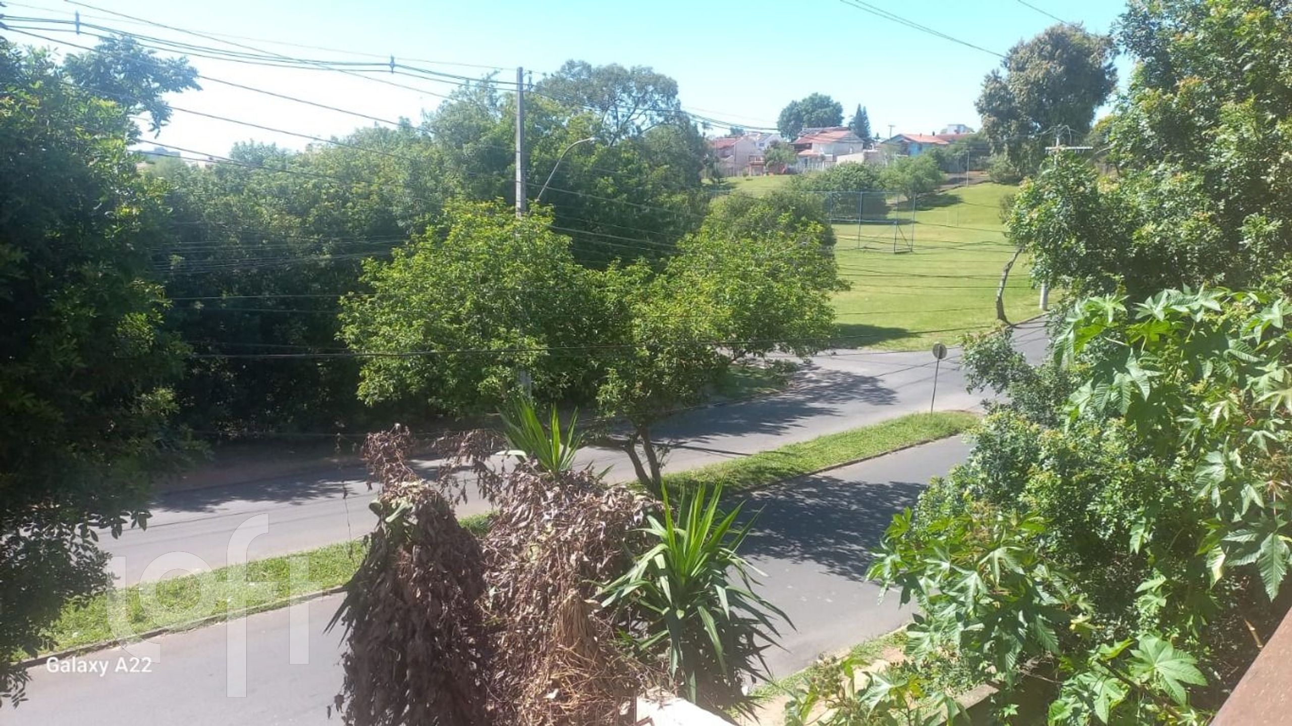 Imagem da propriedade 36