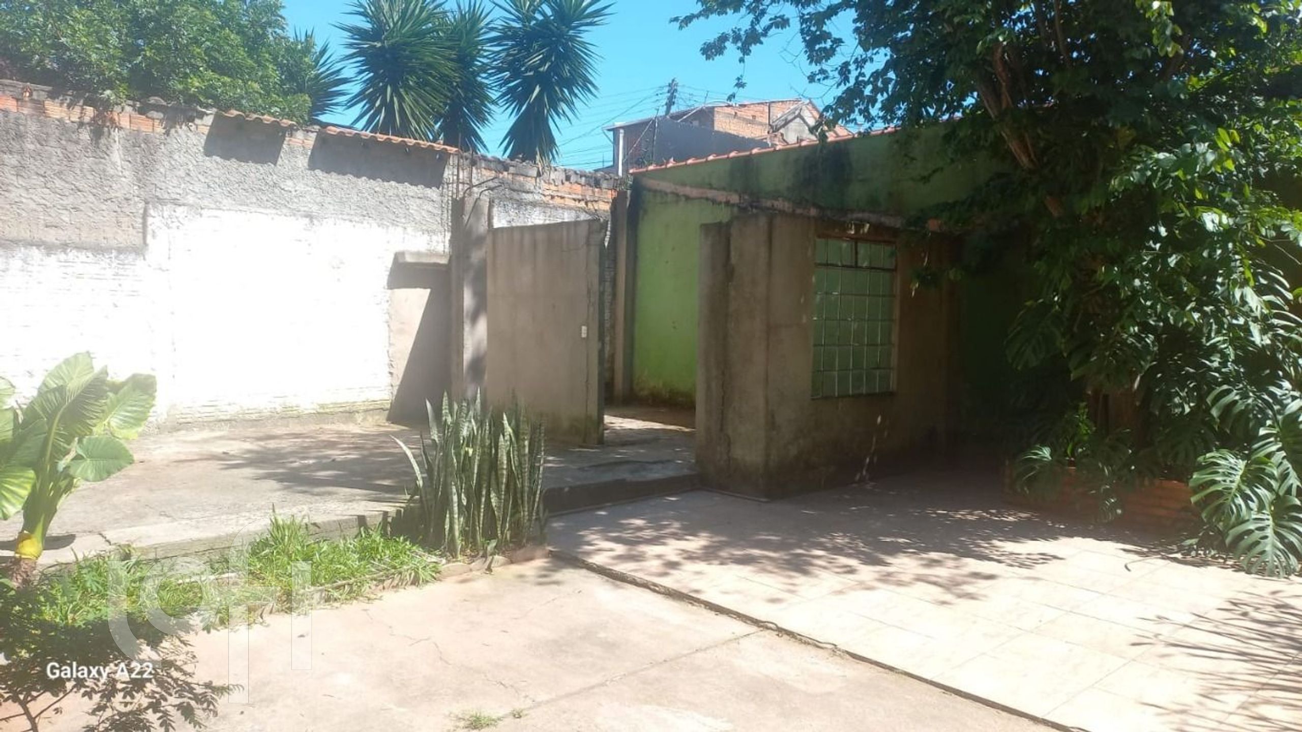 Imagem da propriedade 29