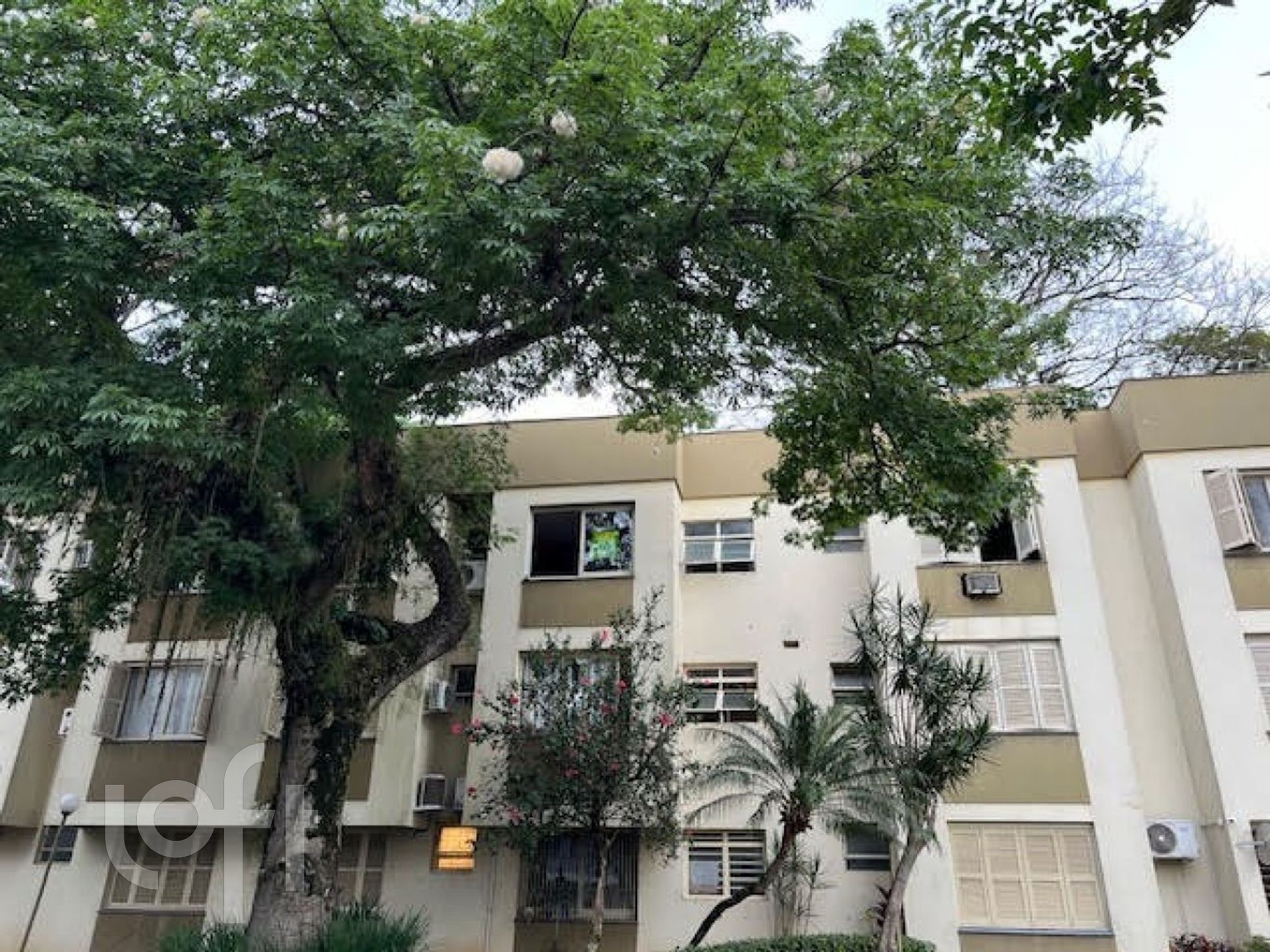 Imagem da propriedade 31