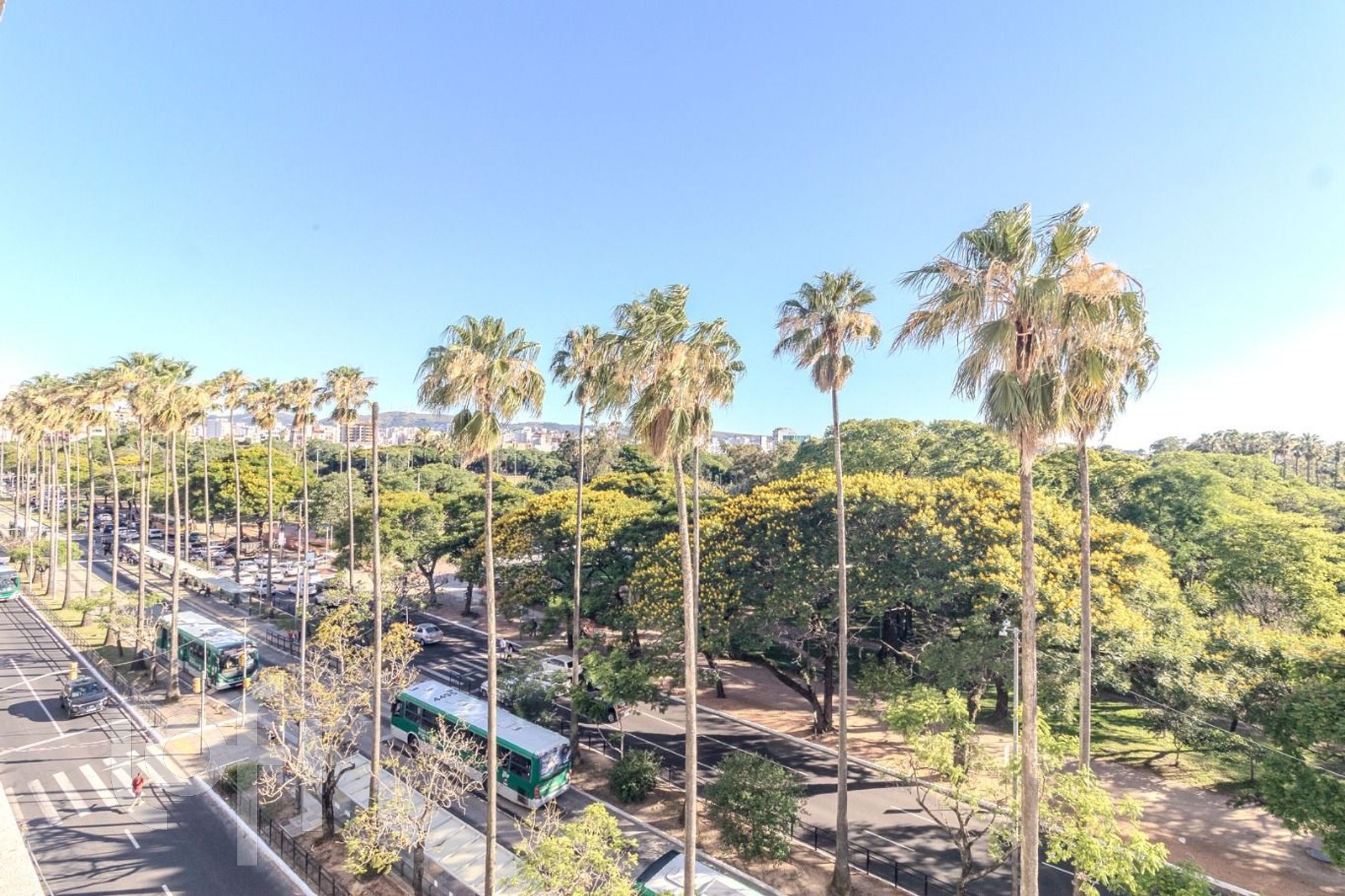 Imagem da propriedade 11