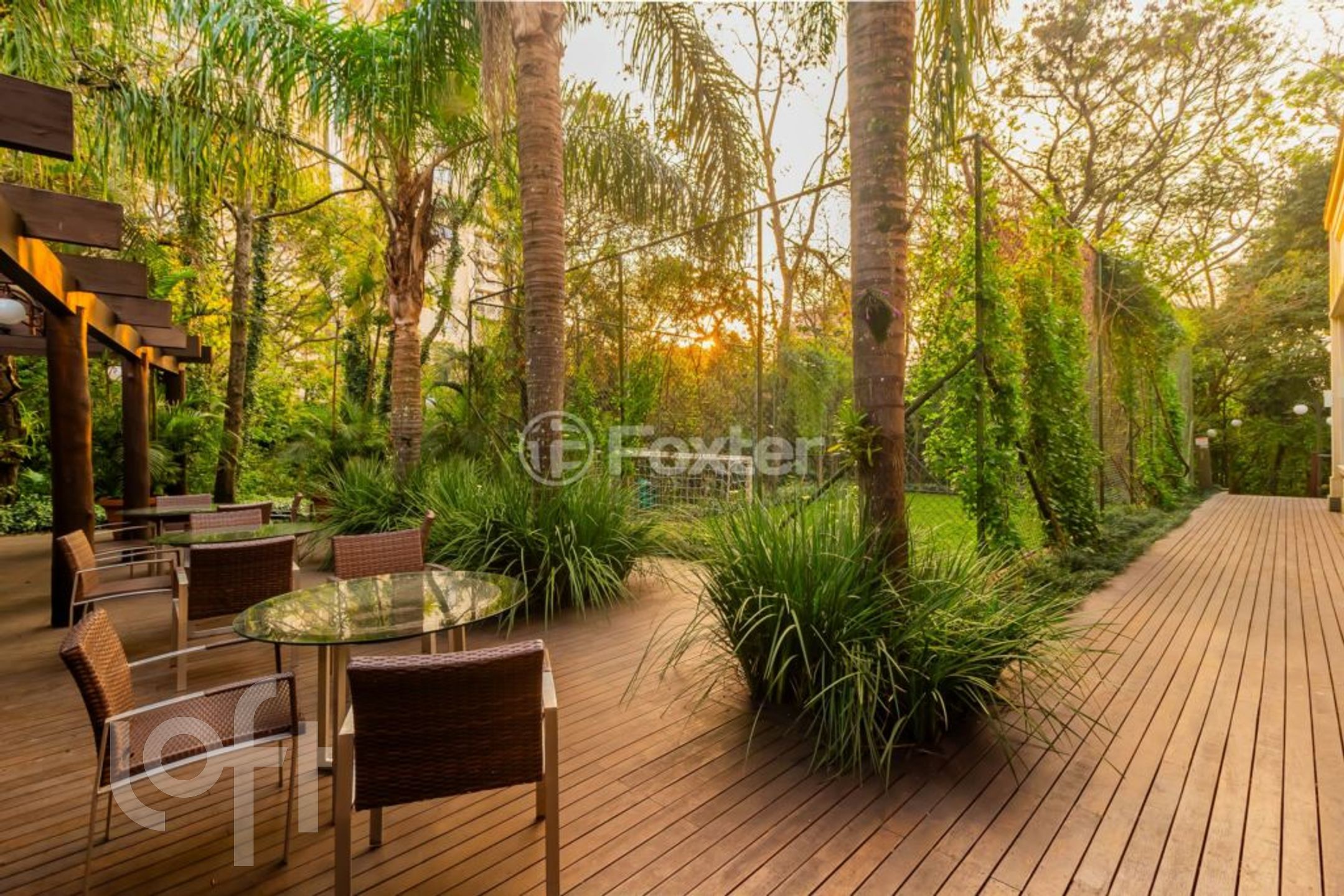 Imagem da propriedade 36