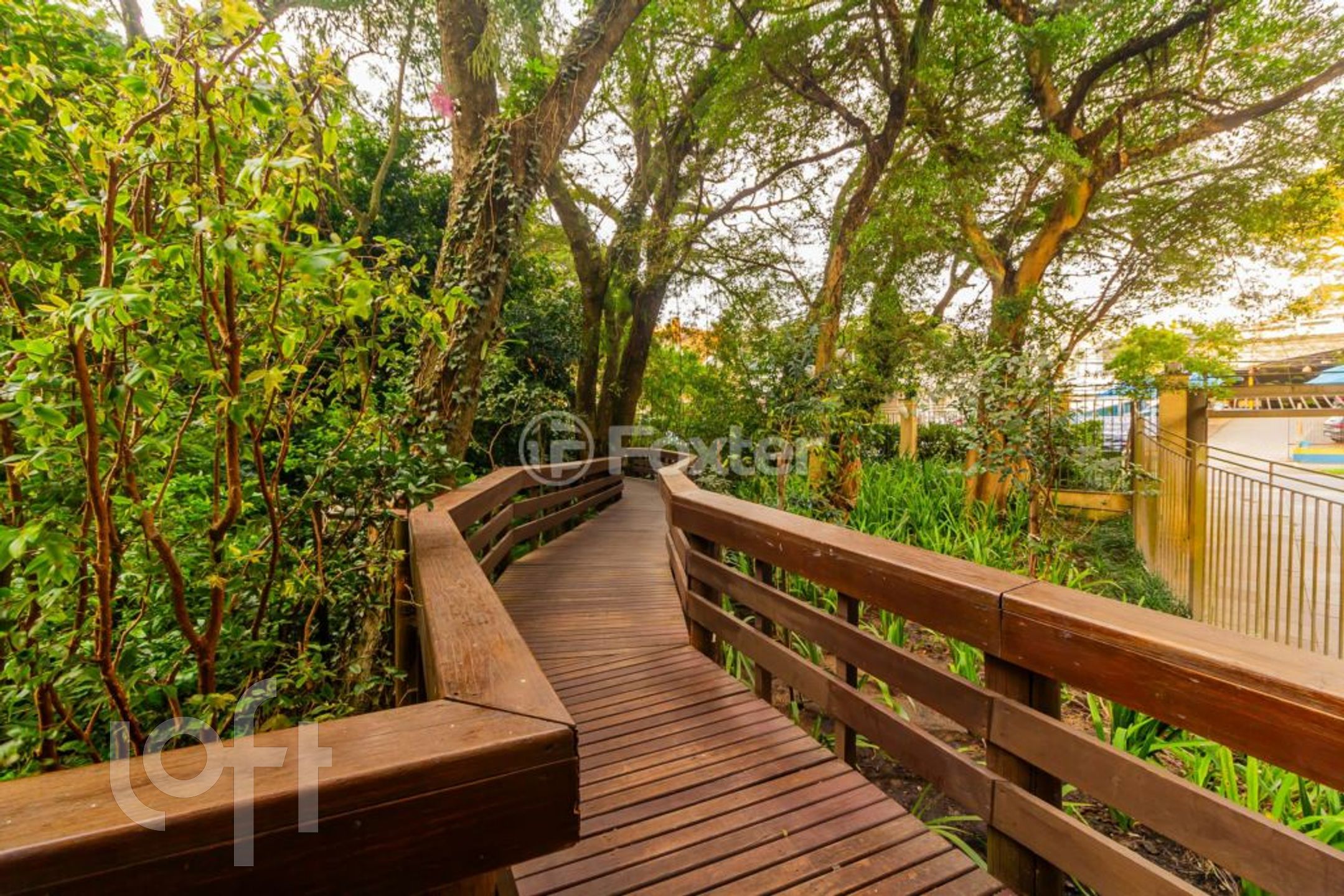 Imagem da propriedade 32