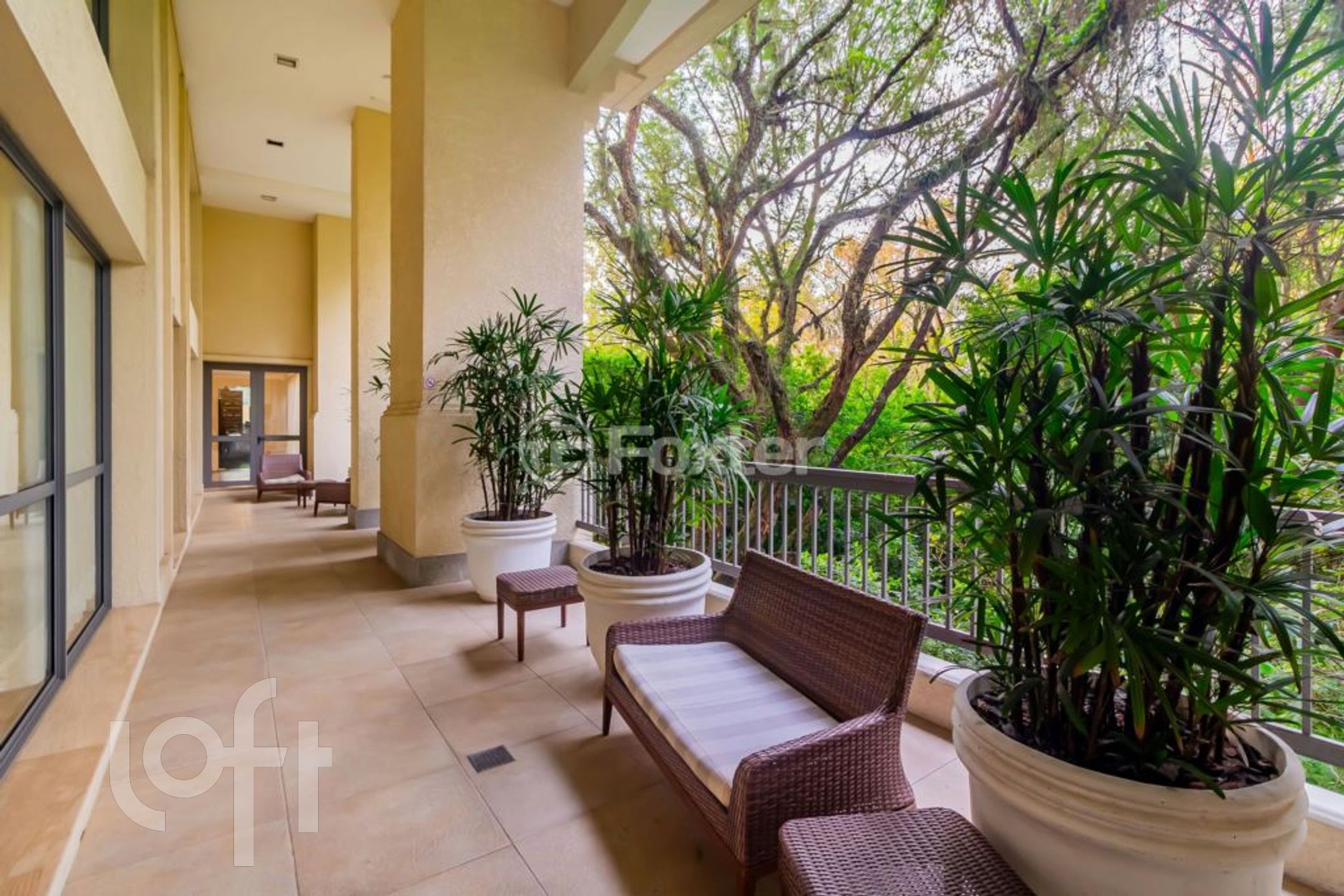 Imagem da propriedade 31