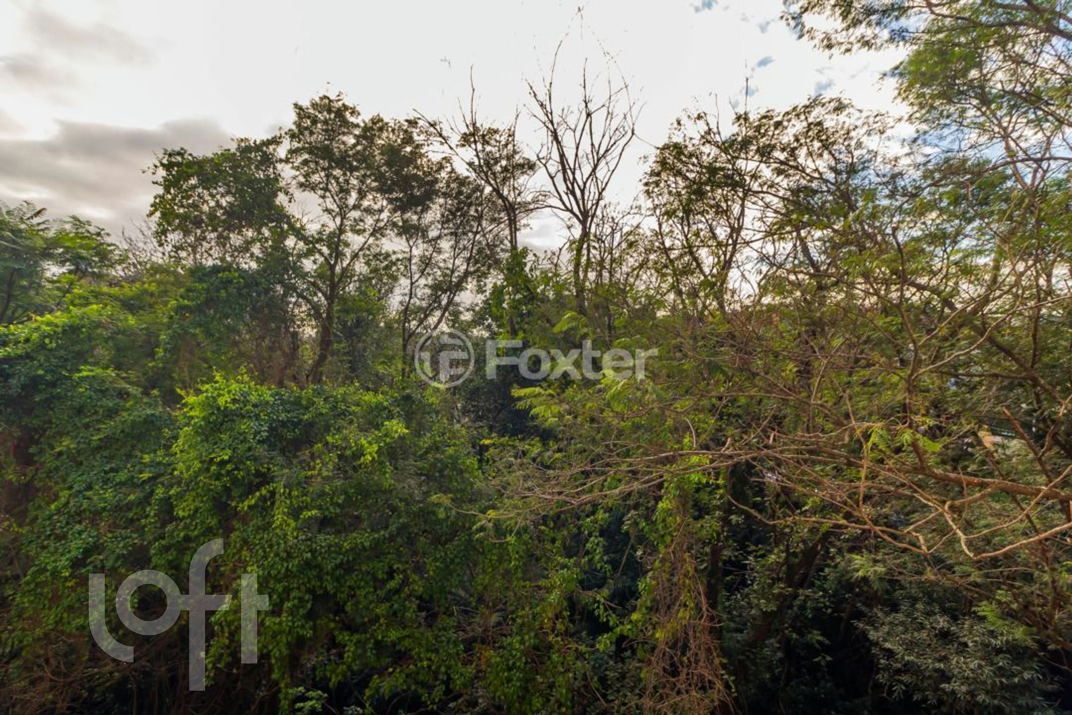 Imagem da propriedade 3