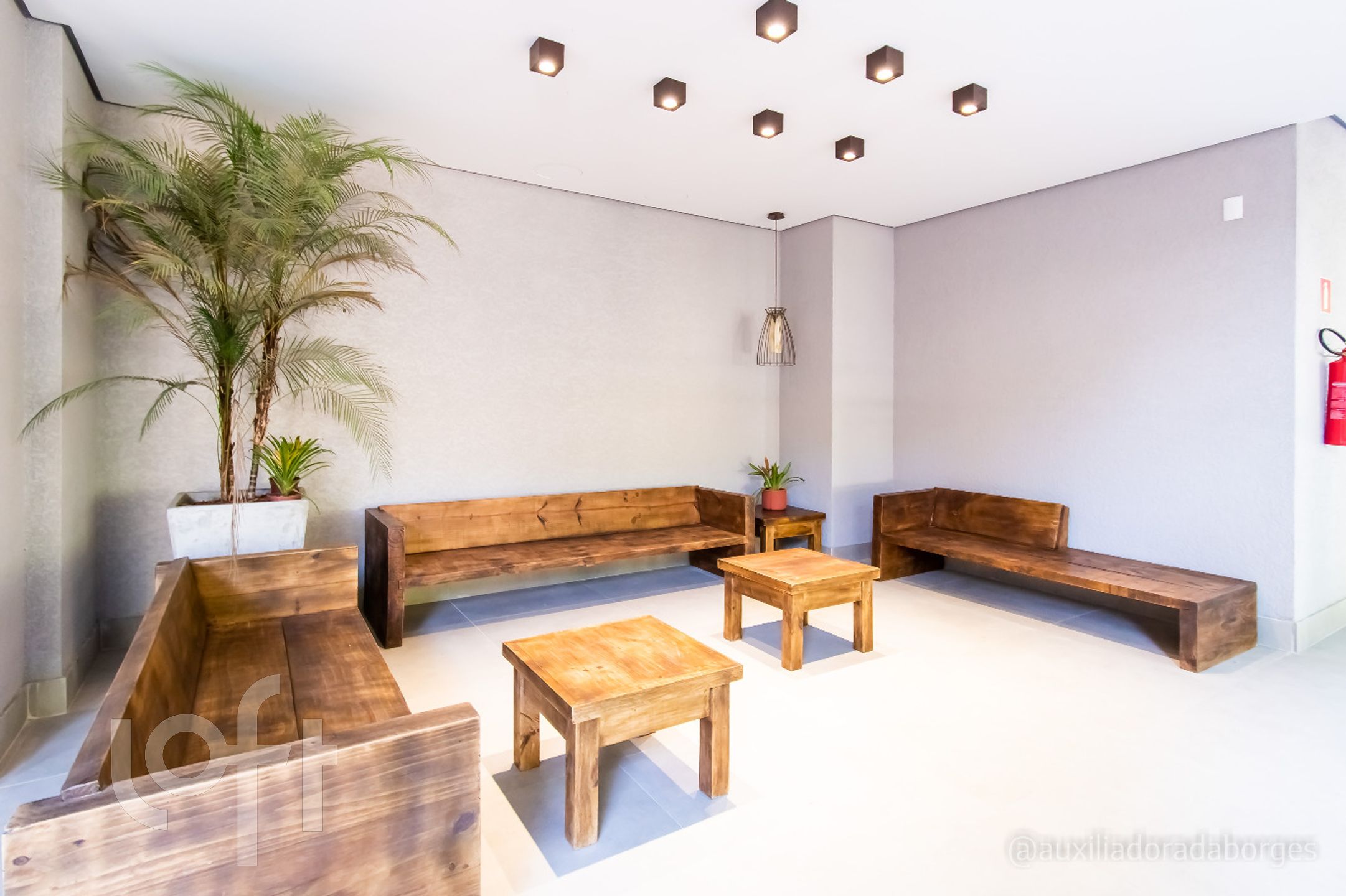 Imagem da propriedade 39