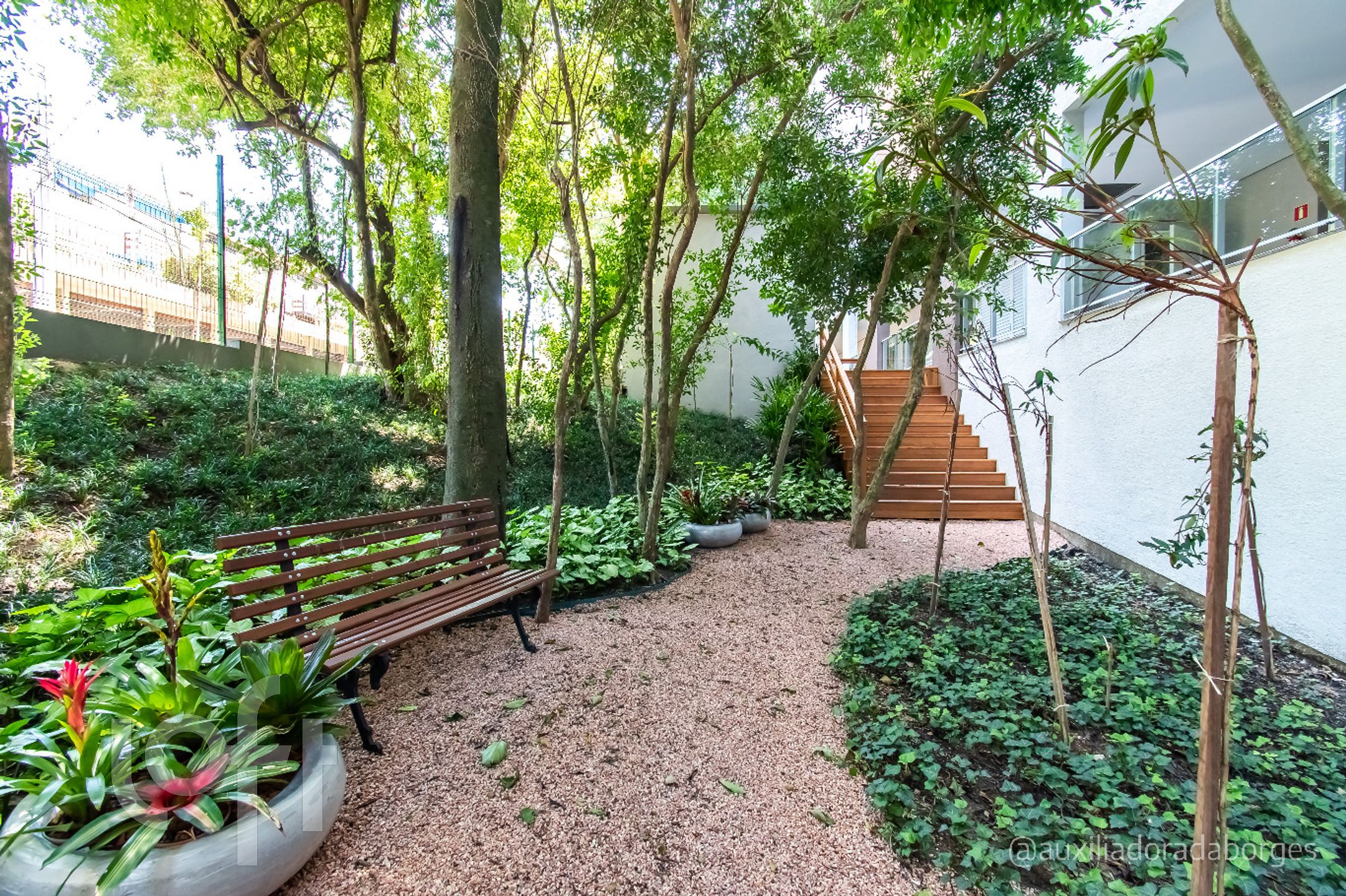 Imagem da propriedade 45