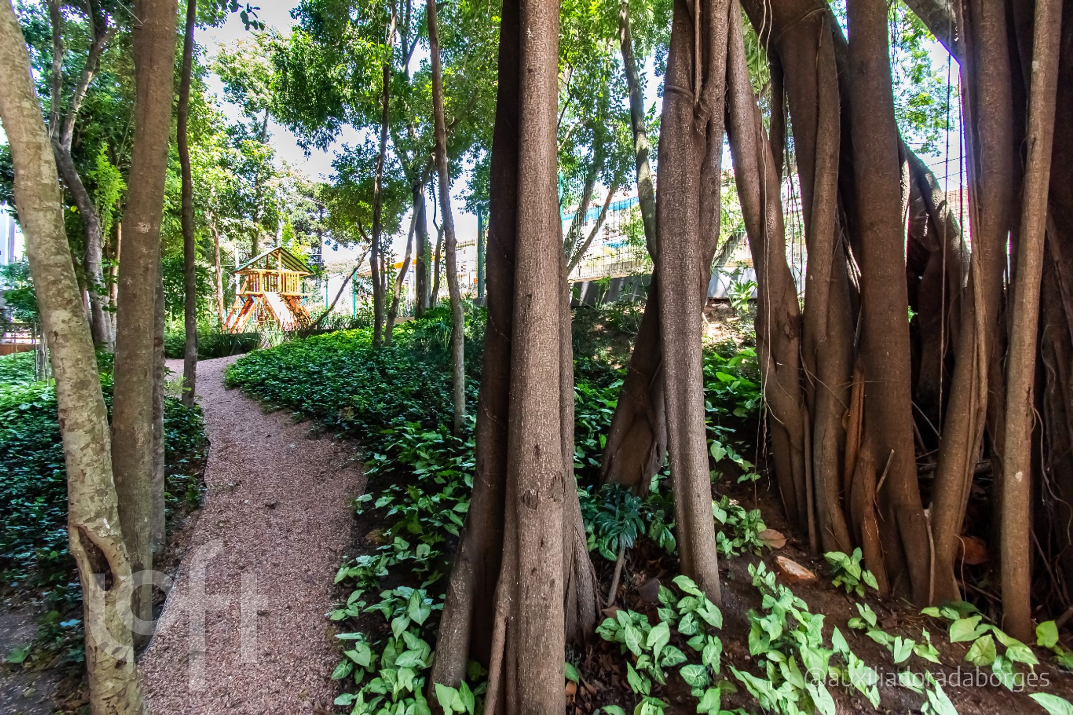 Imagem da propriedade 43