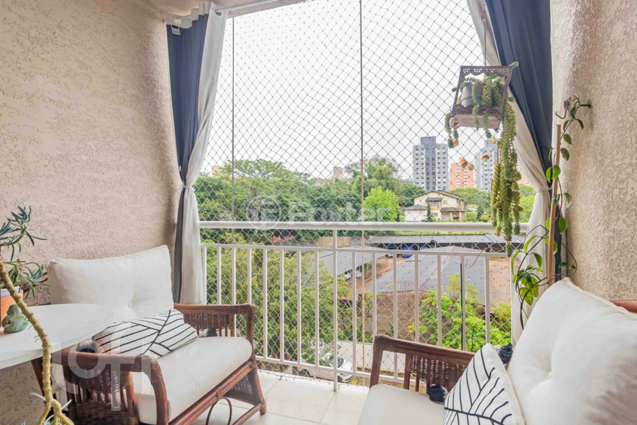 Imagem da propriedade 3