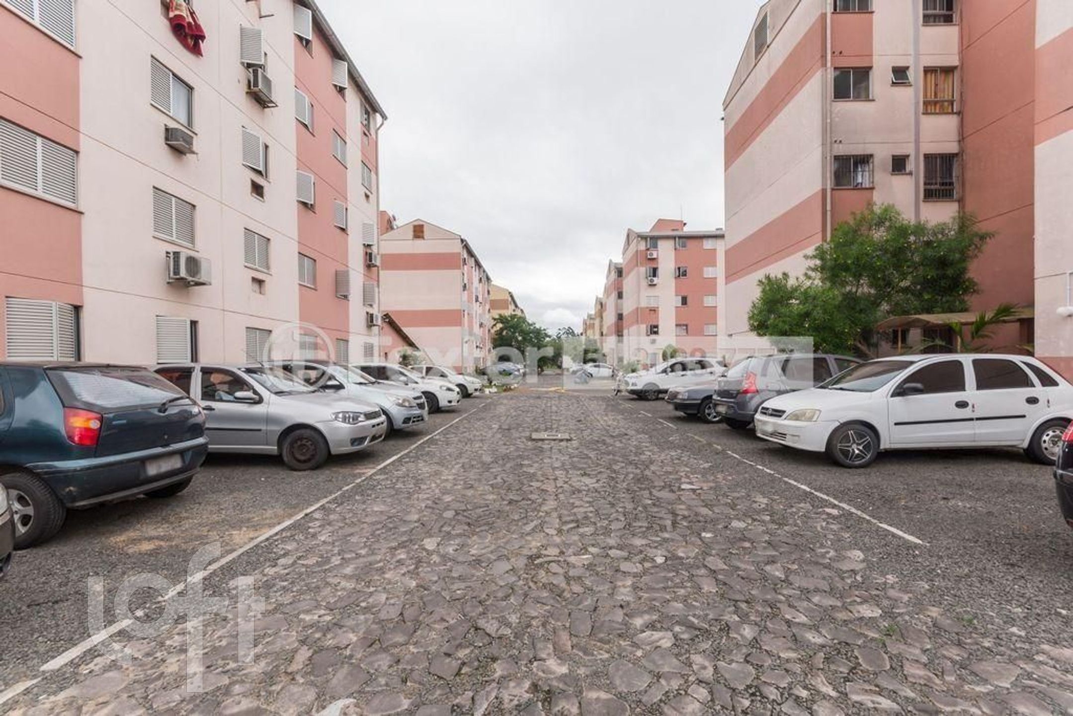 Imagem da propriedade 4