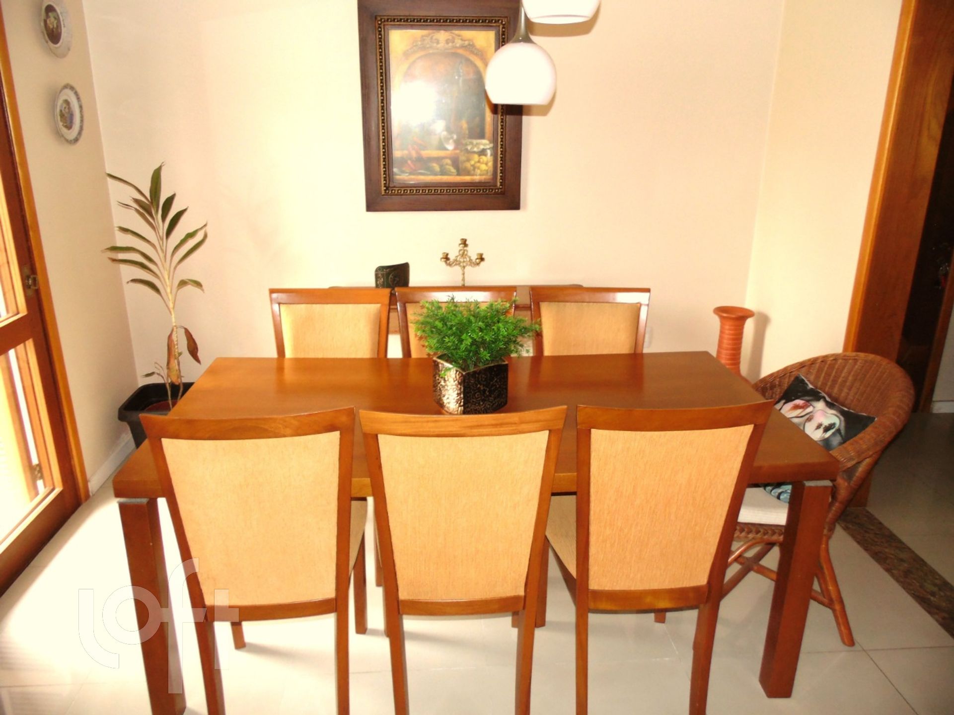 Imagem da propriedade 6