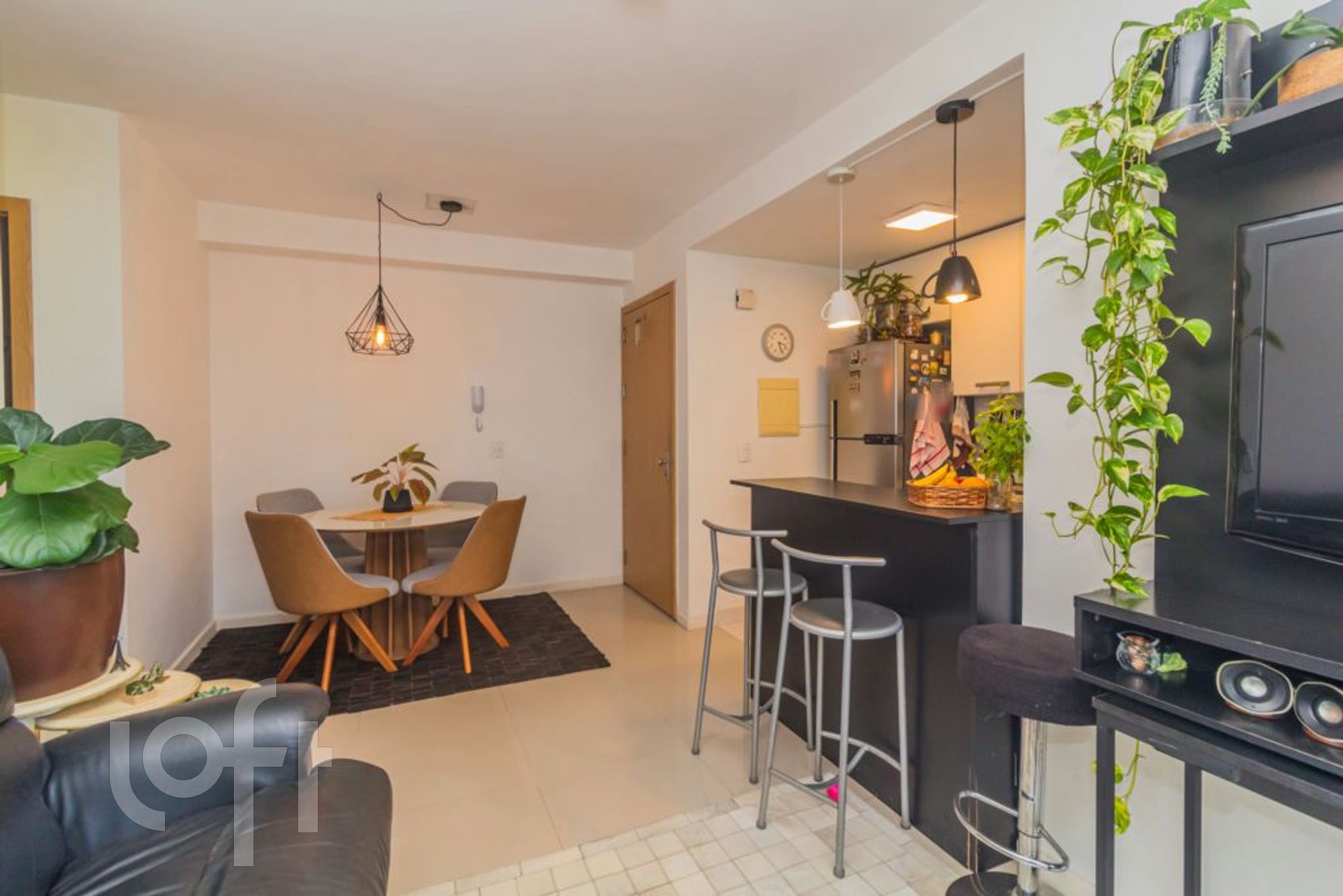 Imagem da propriedade 4