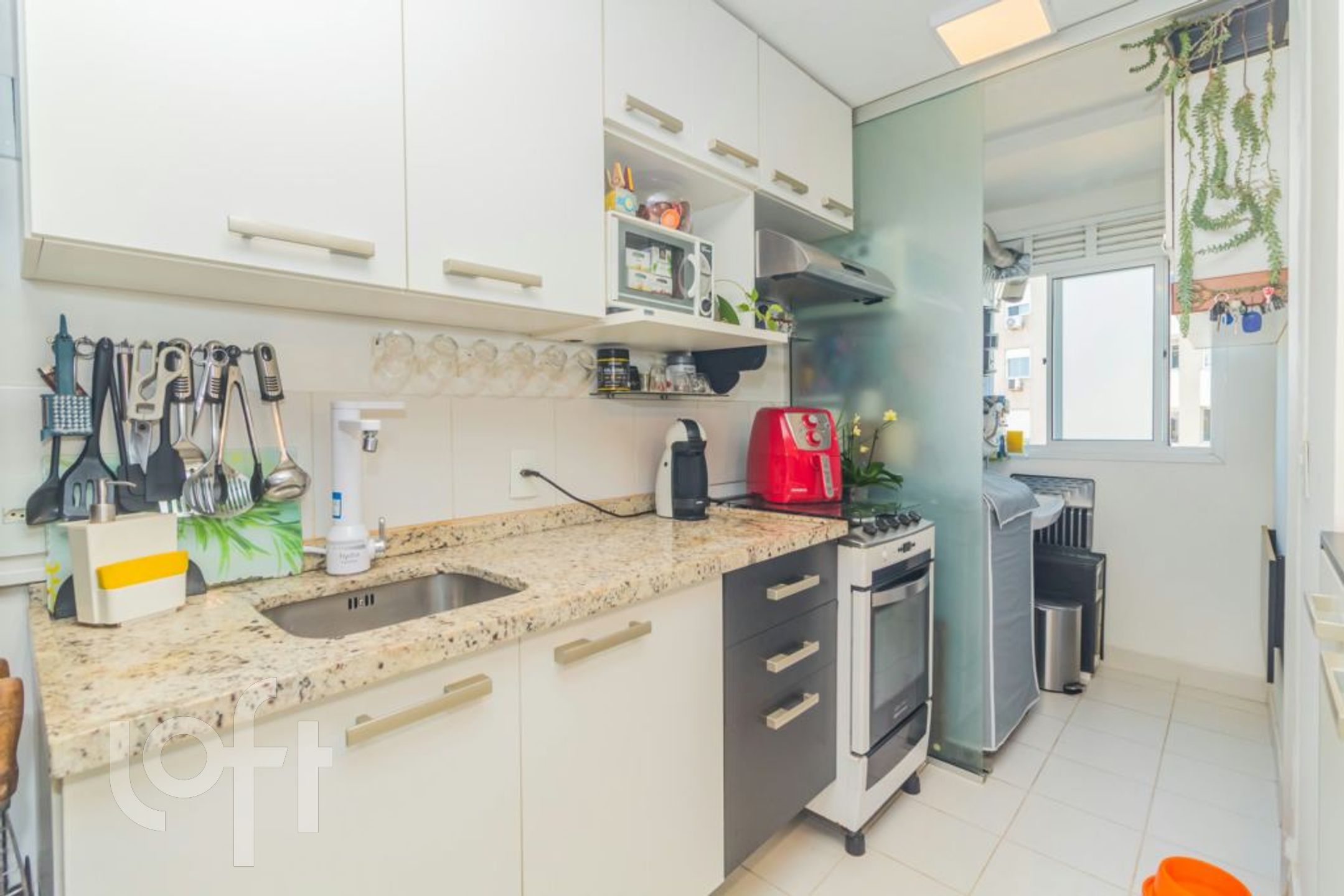 Imagem da propriedade 16